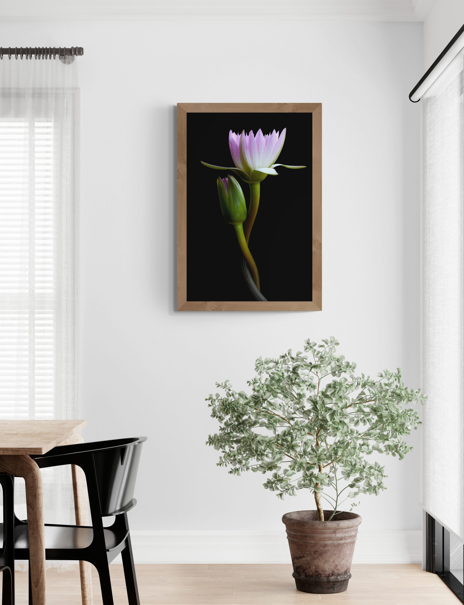 Bright Dining Room With Large Plant (11)