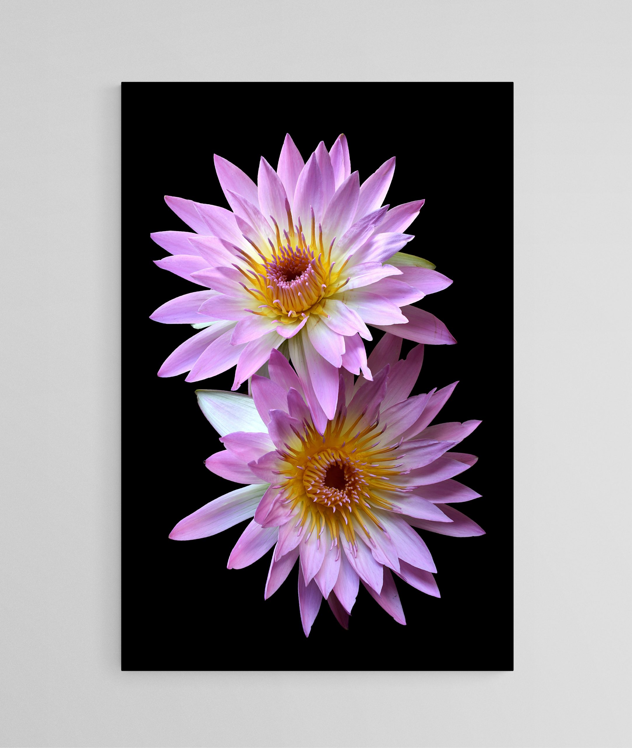 Empty Room 2025 03 29t120554.493