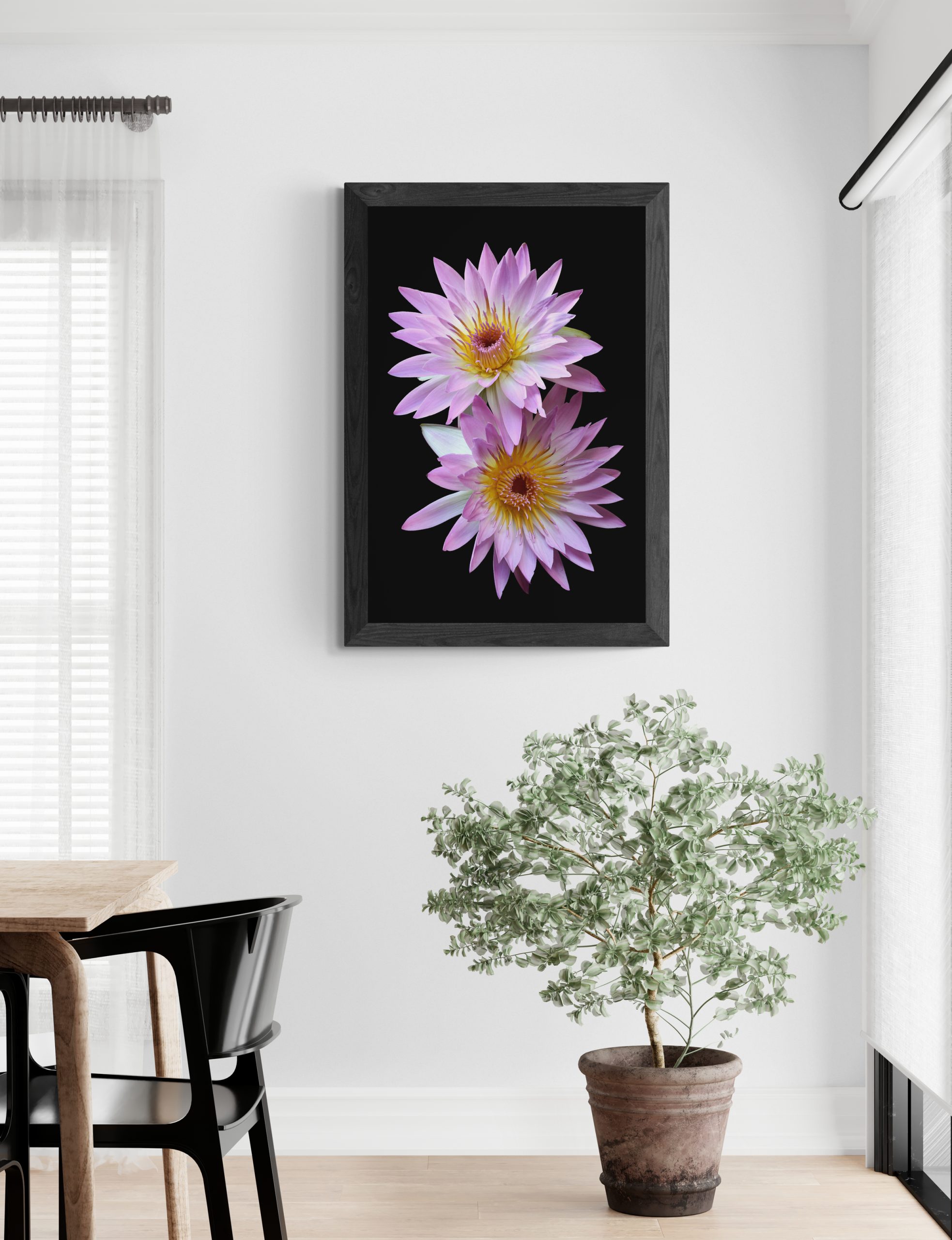 Bright Dining Room With Large Plant (10)