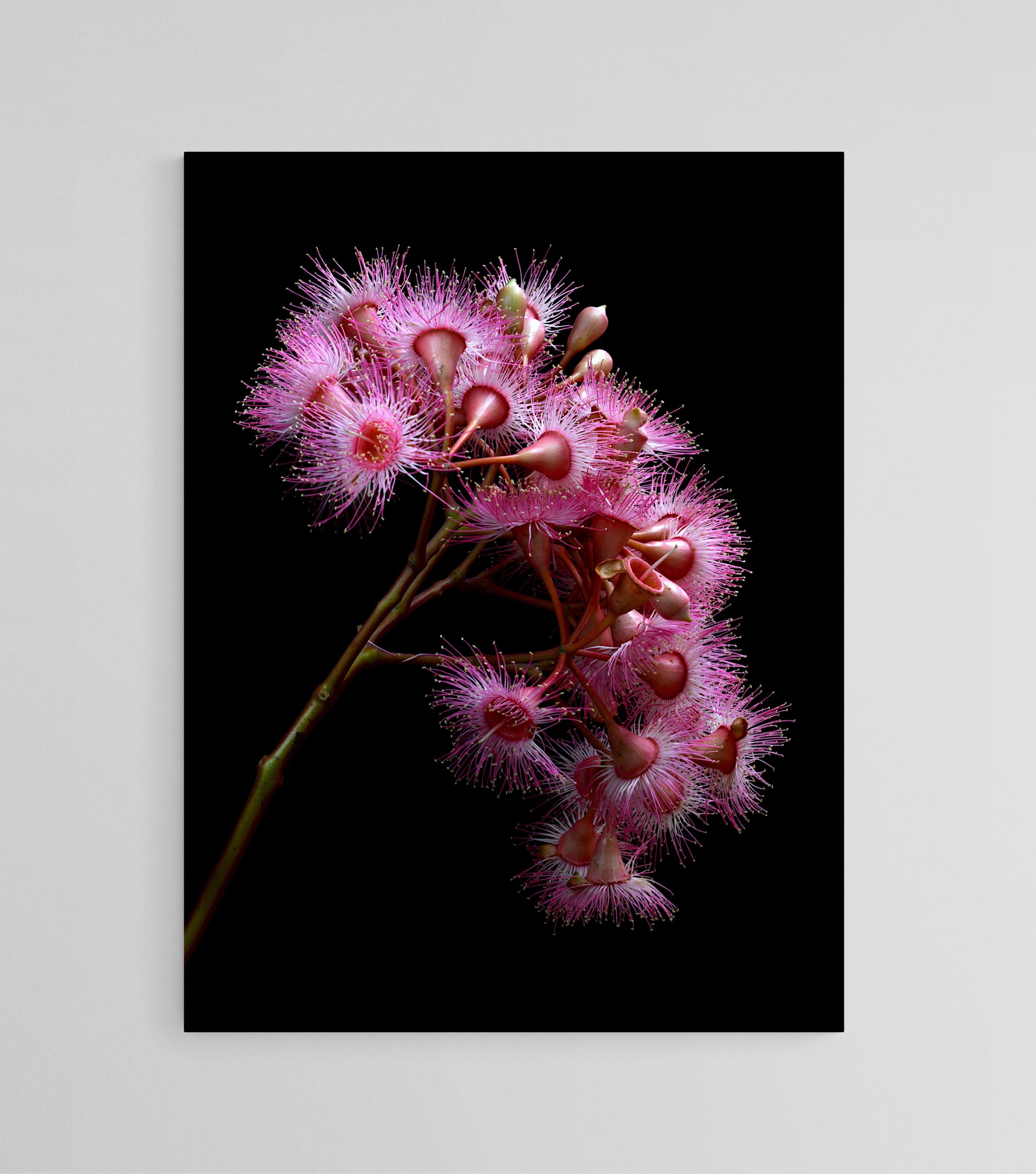 Empty Room 2025 05 02t141601.444