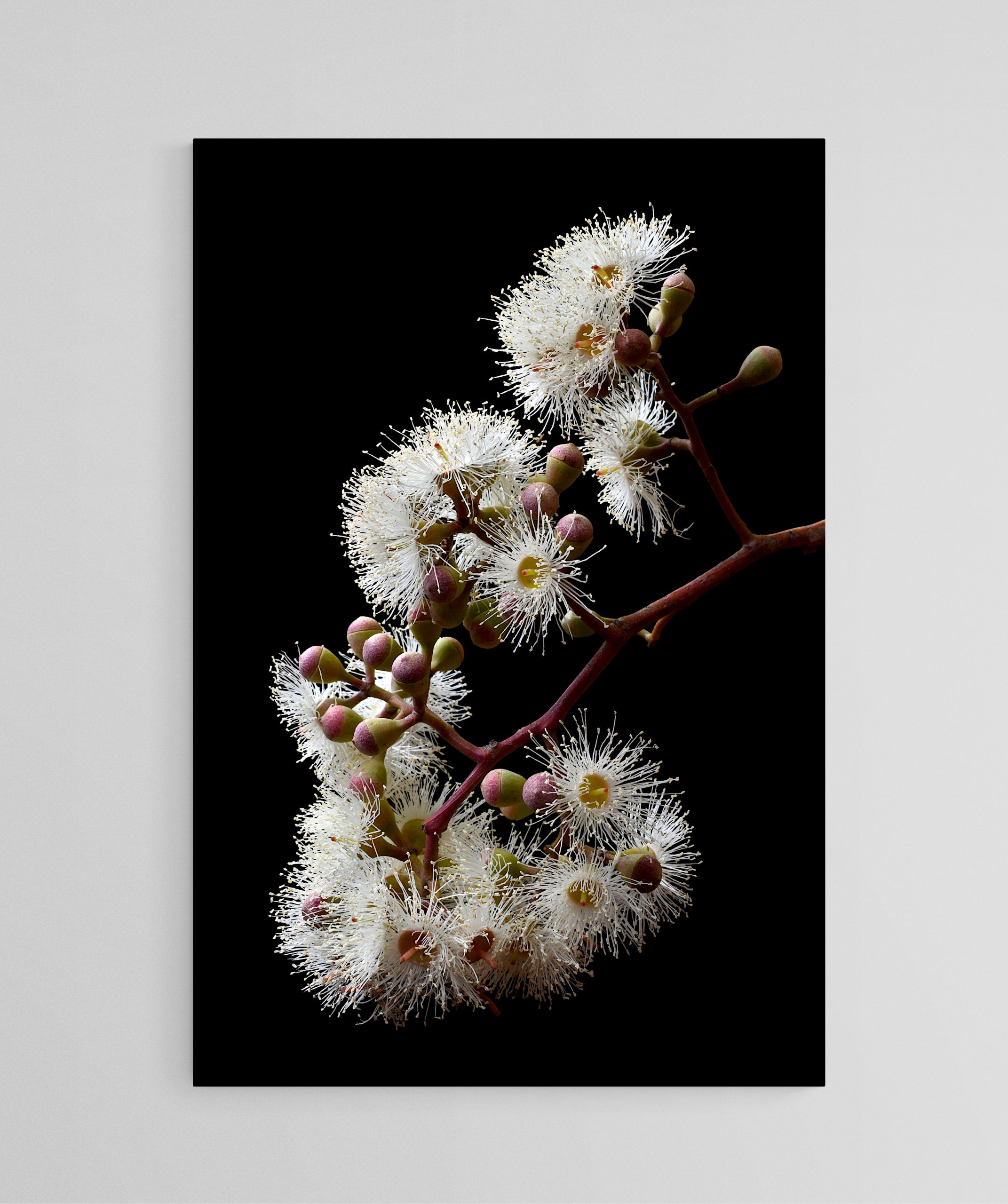 Empty Room 2025 04 28t132257.335