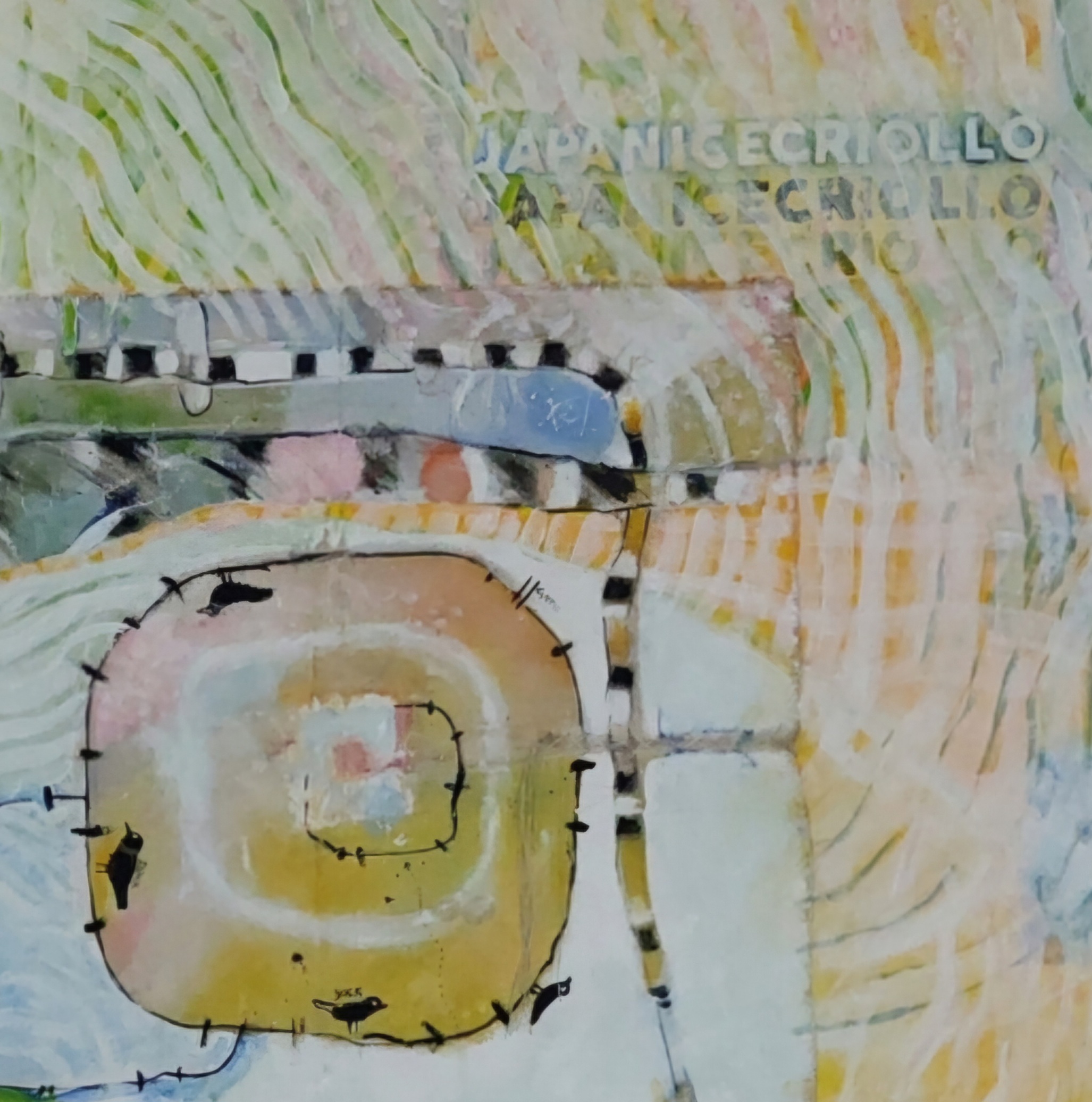 Fionathorningaerialviewduckdetailtwo