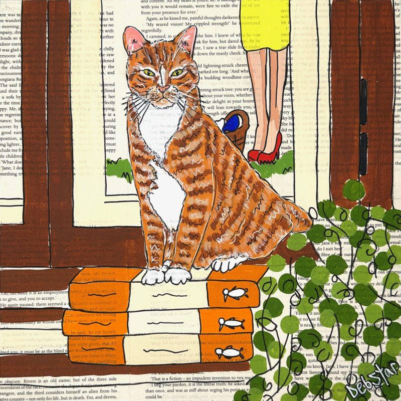 Cat Capers – Books and Washing