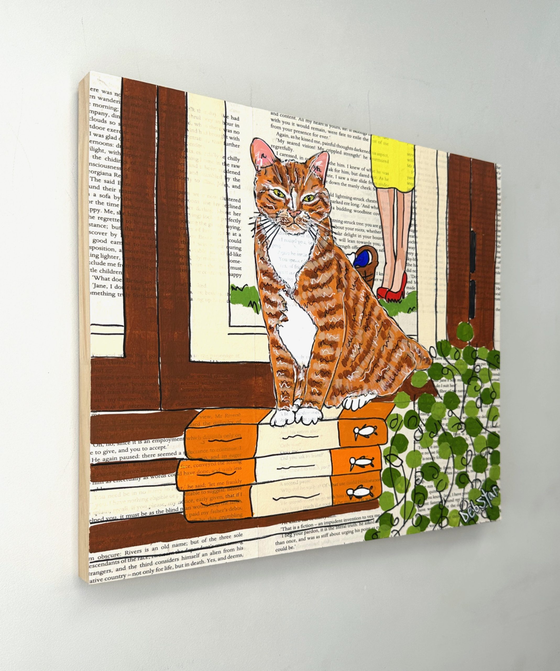 Deborah Lang Debstar Cat Capers Books And Washing 3