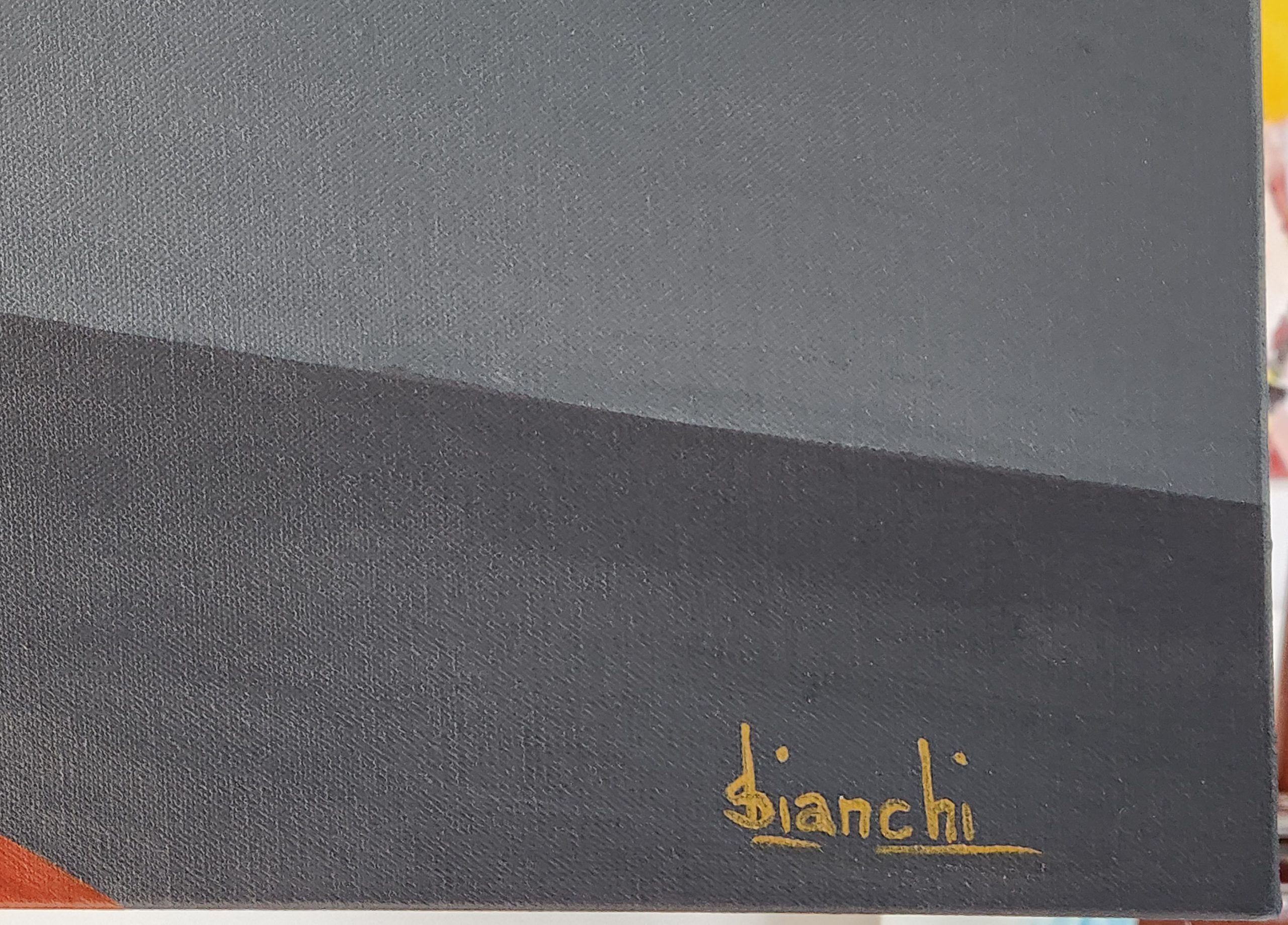 Contours Of Contrast By Susanne Bianchi Signature