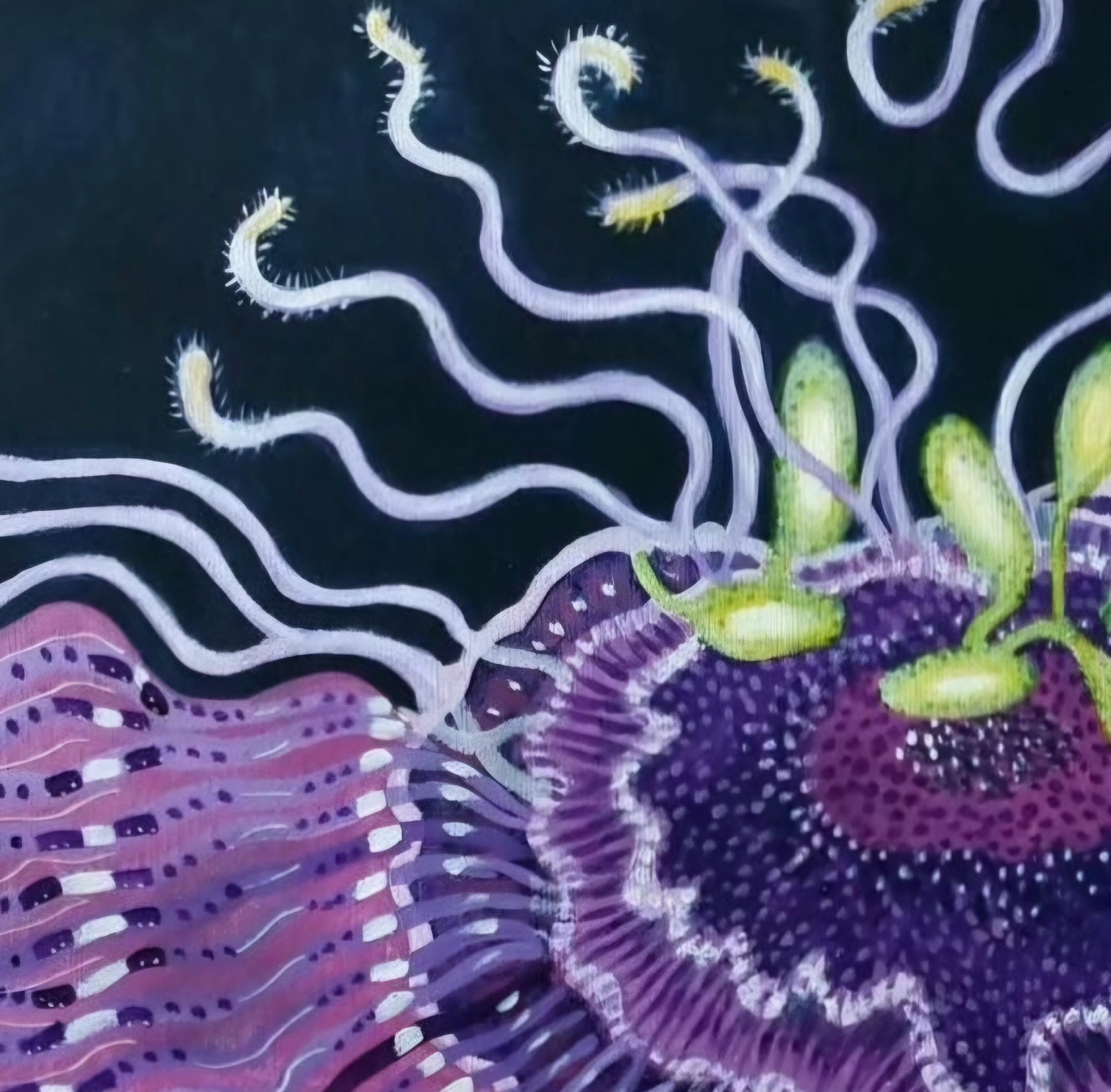 Fionathorningpassameythdetailone