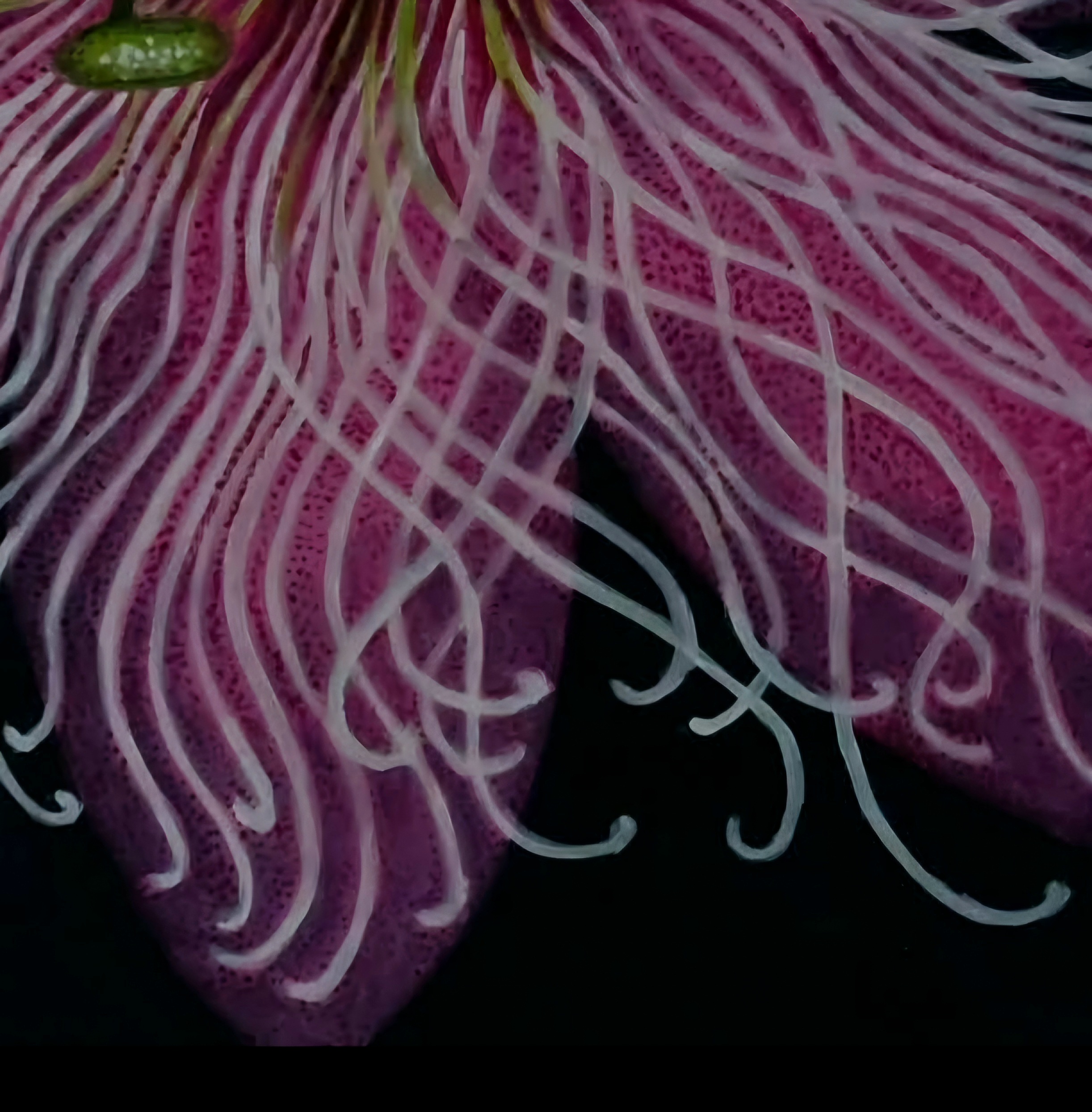 Fthorningpassraspcreamdetailone