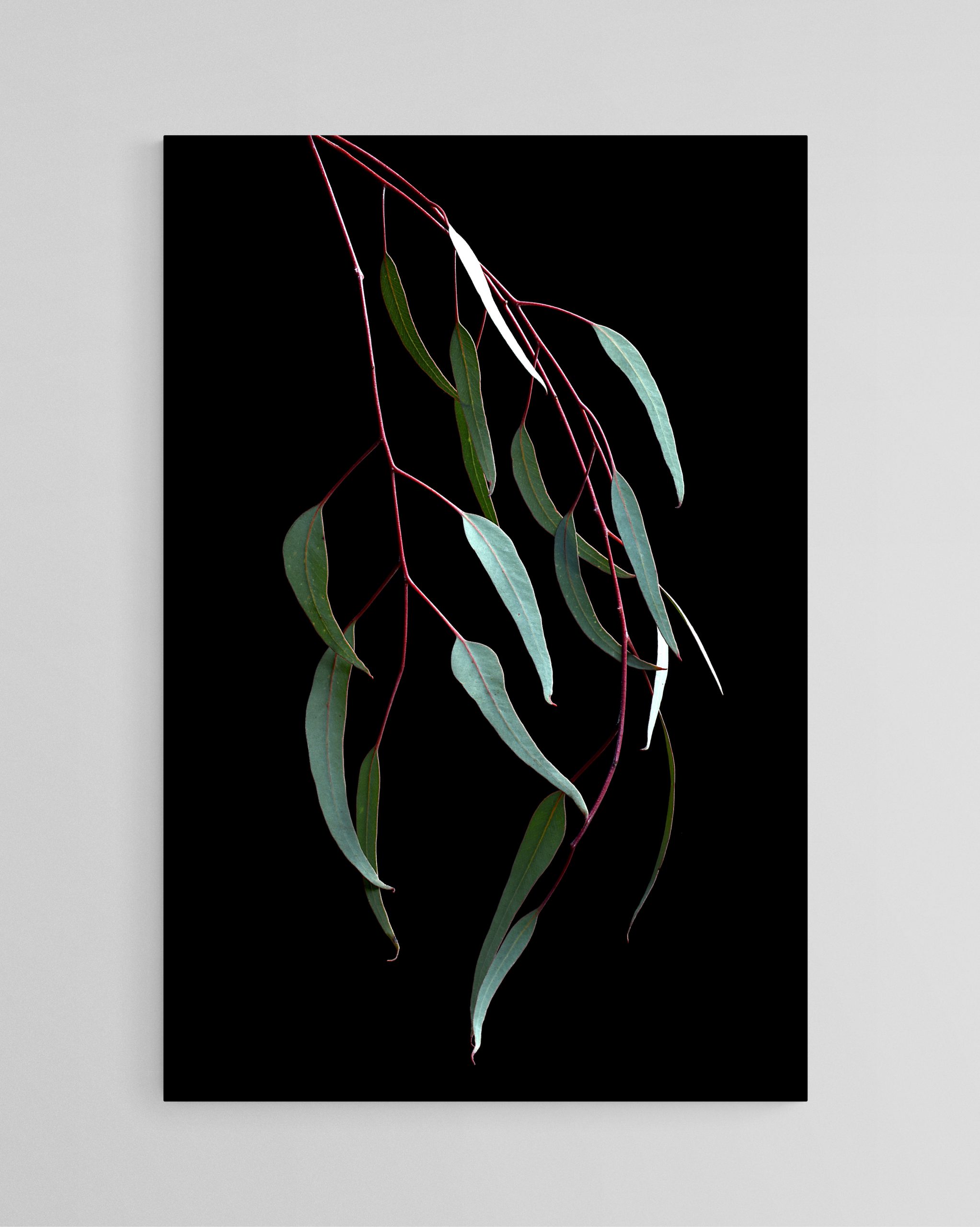 Empty Room 2025 05 09t203303.864