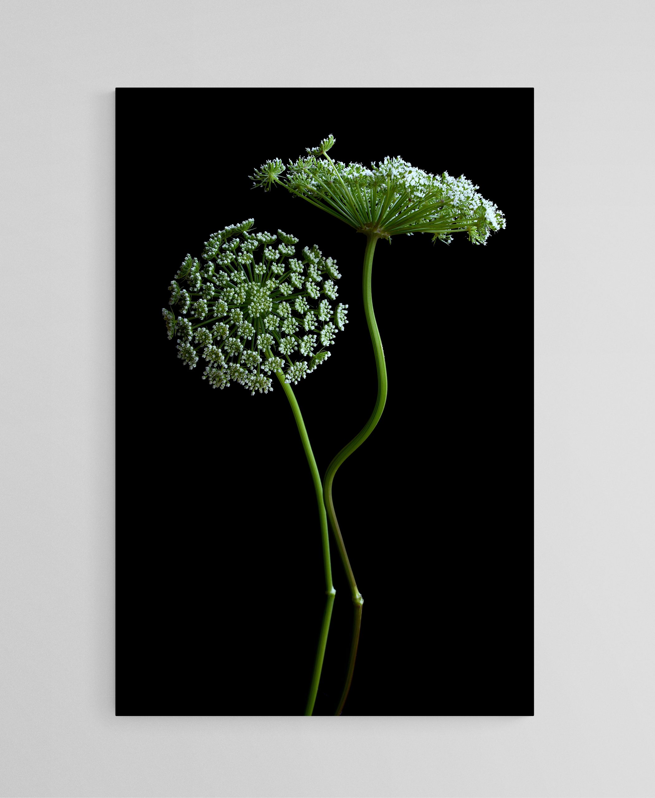 Empty Room 2025 05 12t144741.635