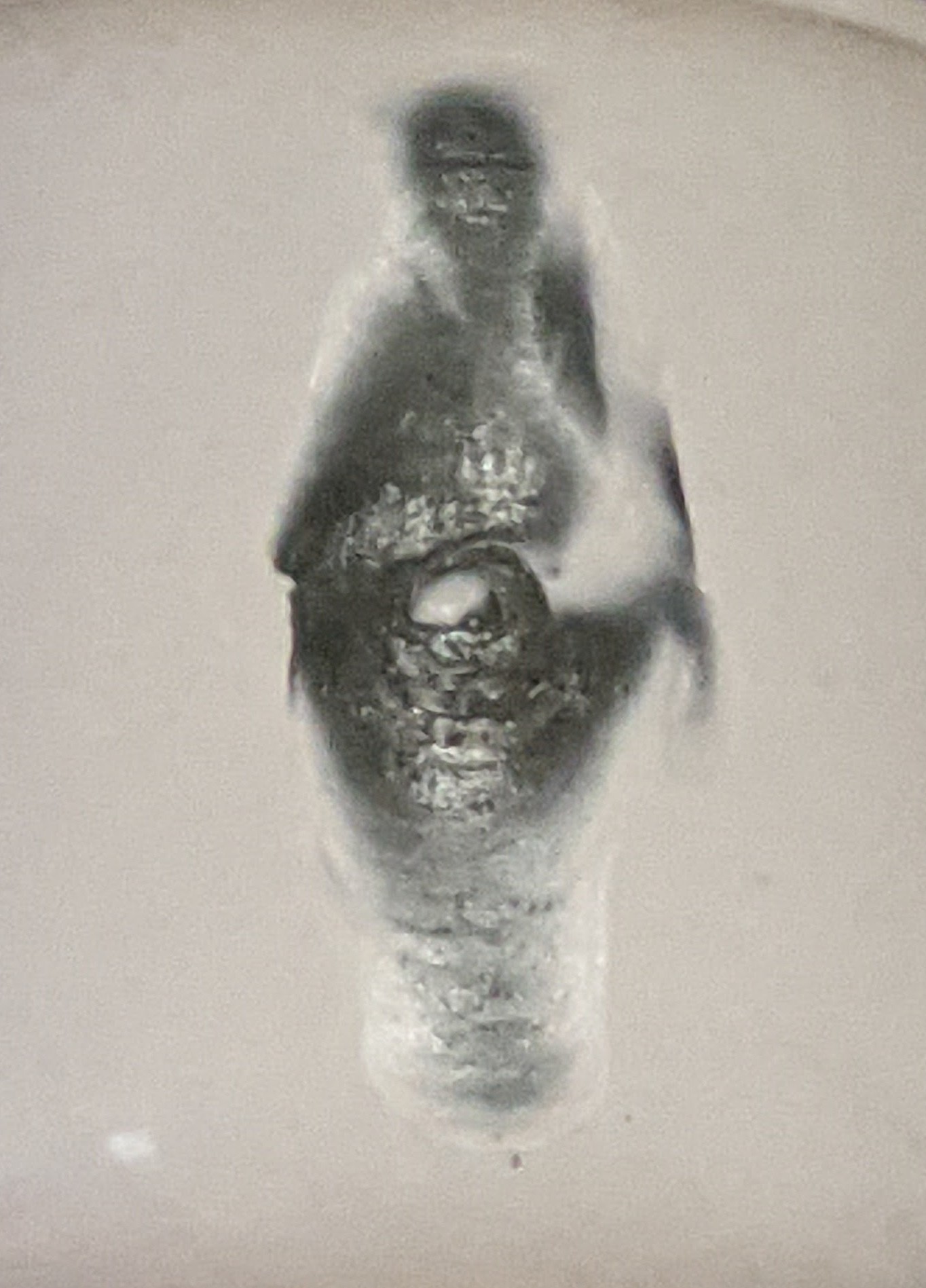 Pxl 20210302 003912774~2 Pxl 20210302 003912774~2