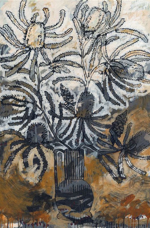 Banksia Serrata Still III