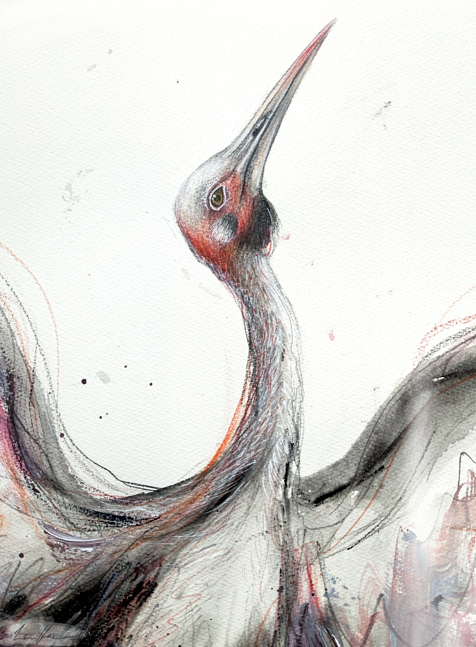 Sydney Artist Leni Kae Brolga Spirit Dance Watercolour Closeup3