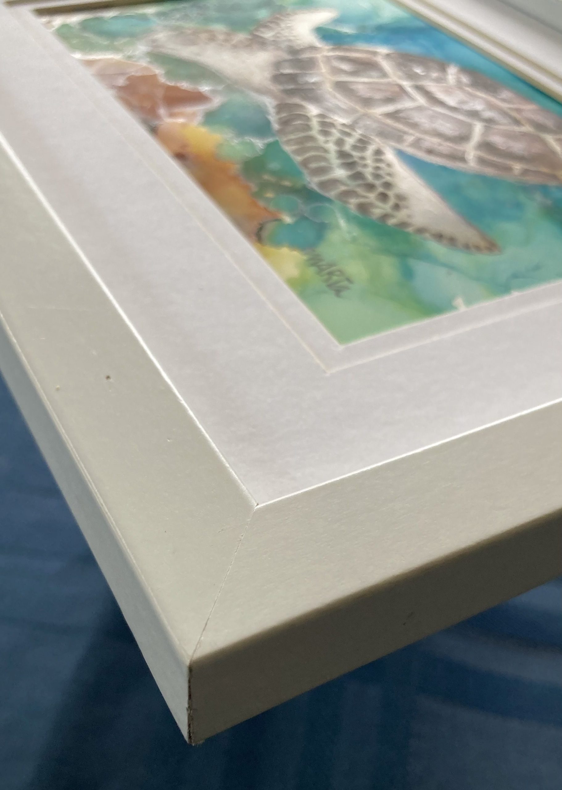 Mbj 465 Under Water Edge