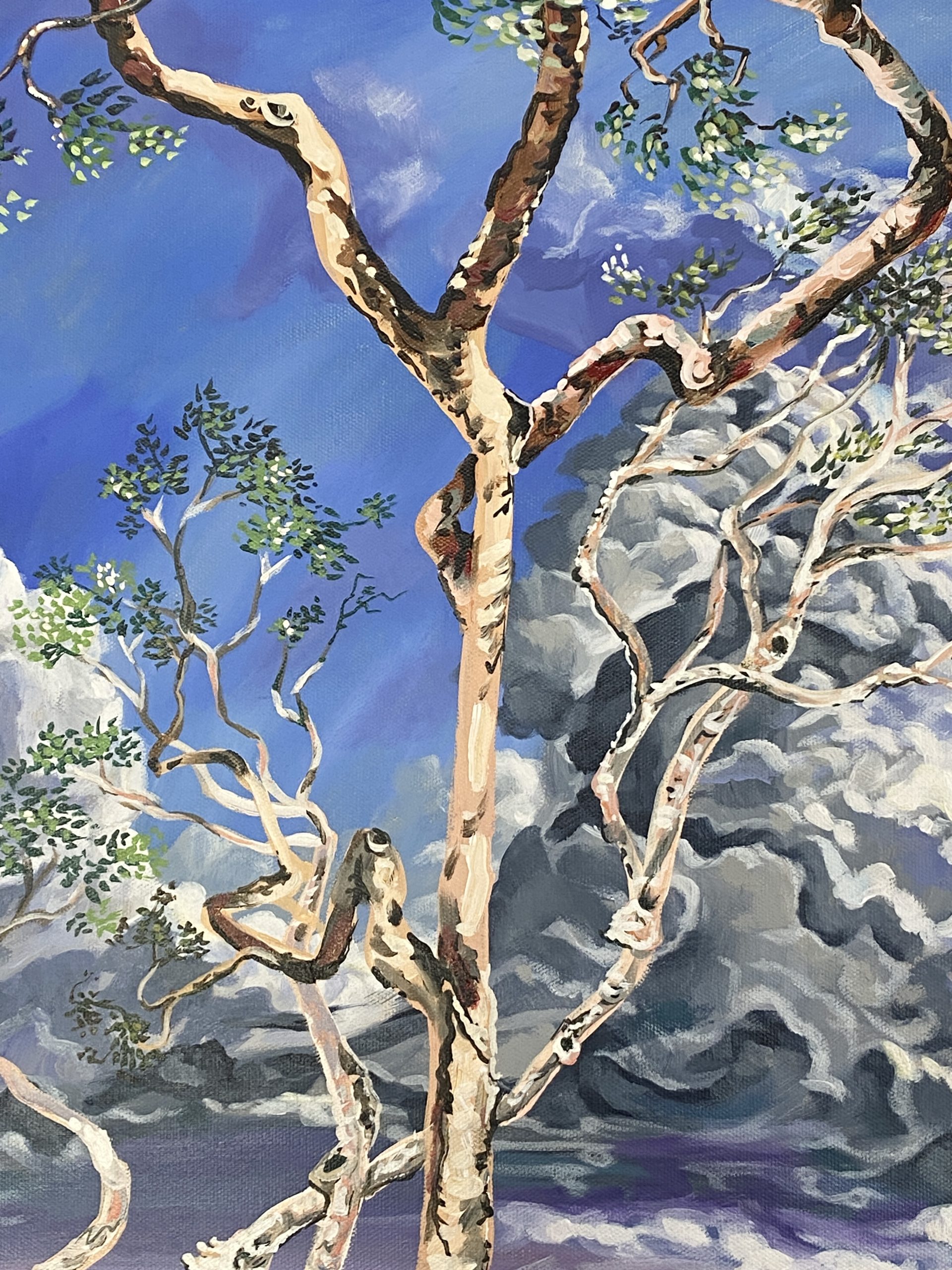 Casuarina Beach Study.3