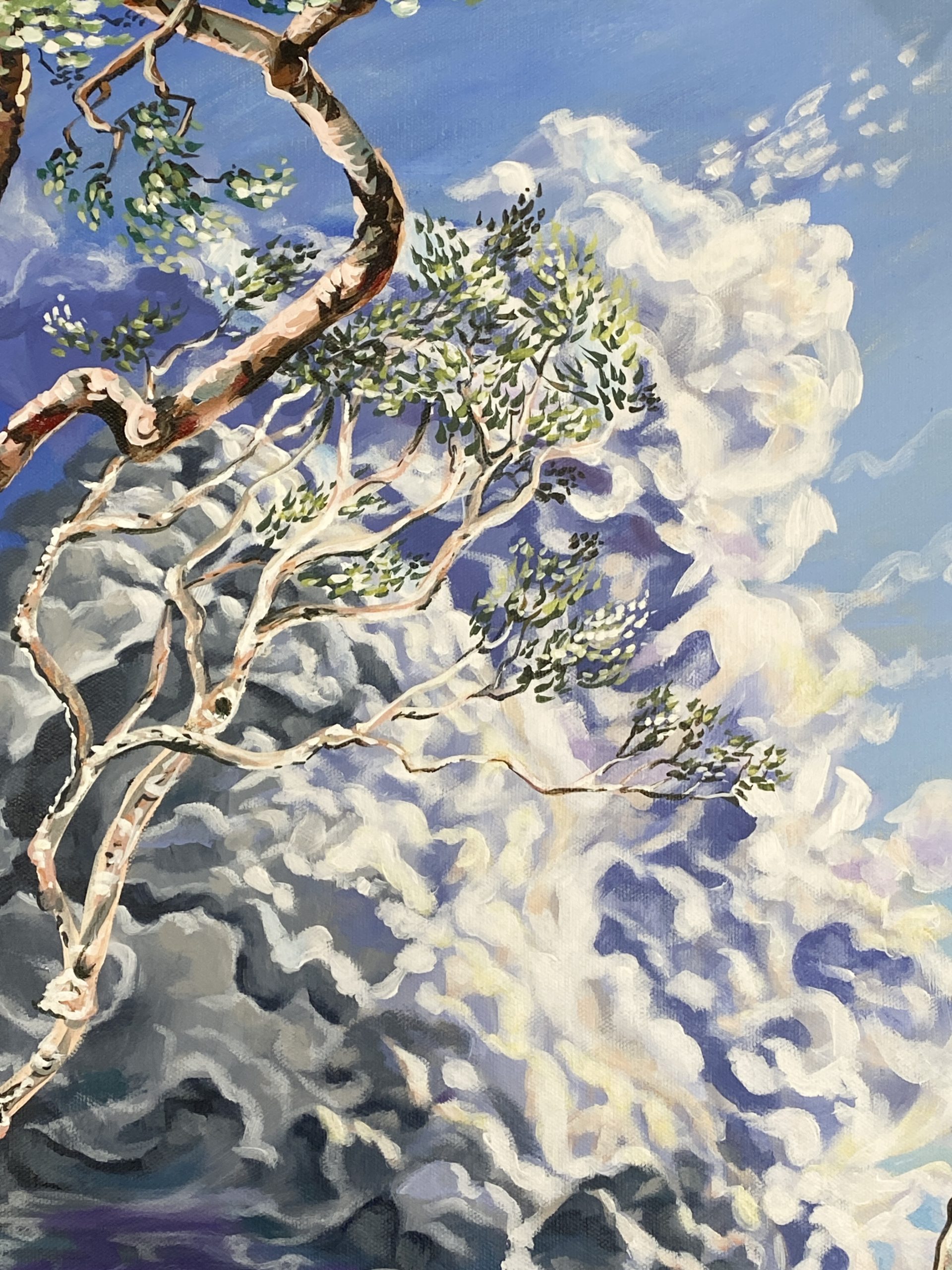 Casuarina Beach Study.4