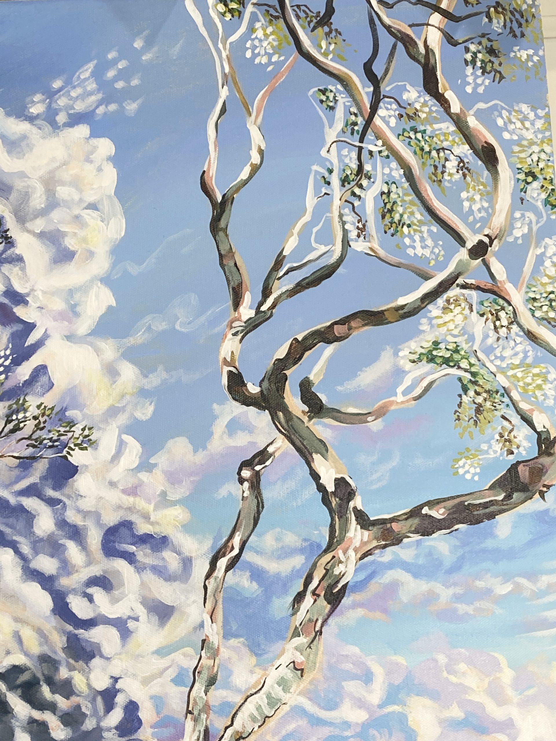 Casuarina Beach Study.5