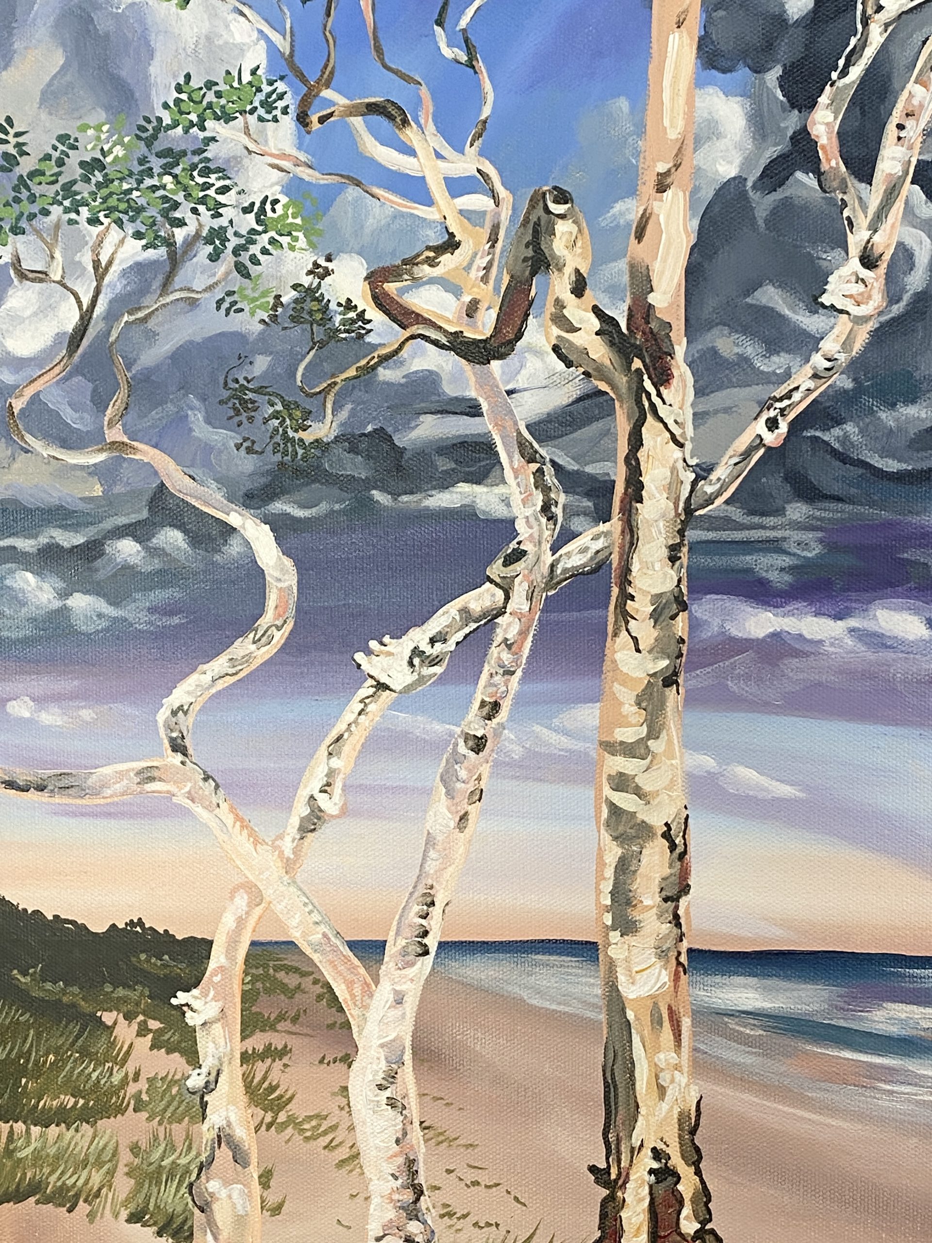 Casuarina Beach Study.7