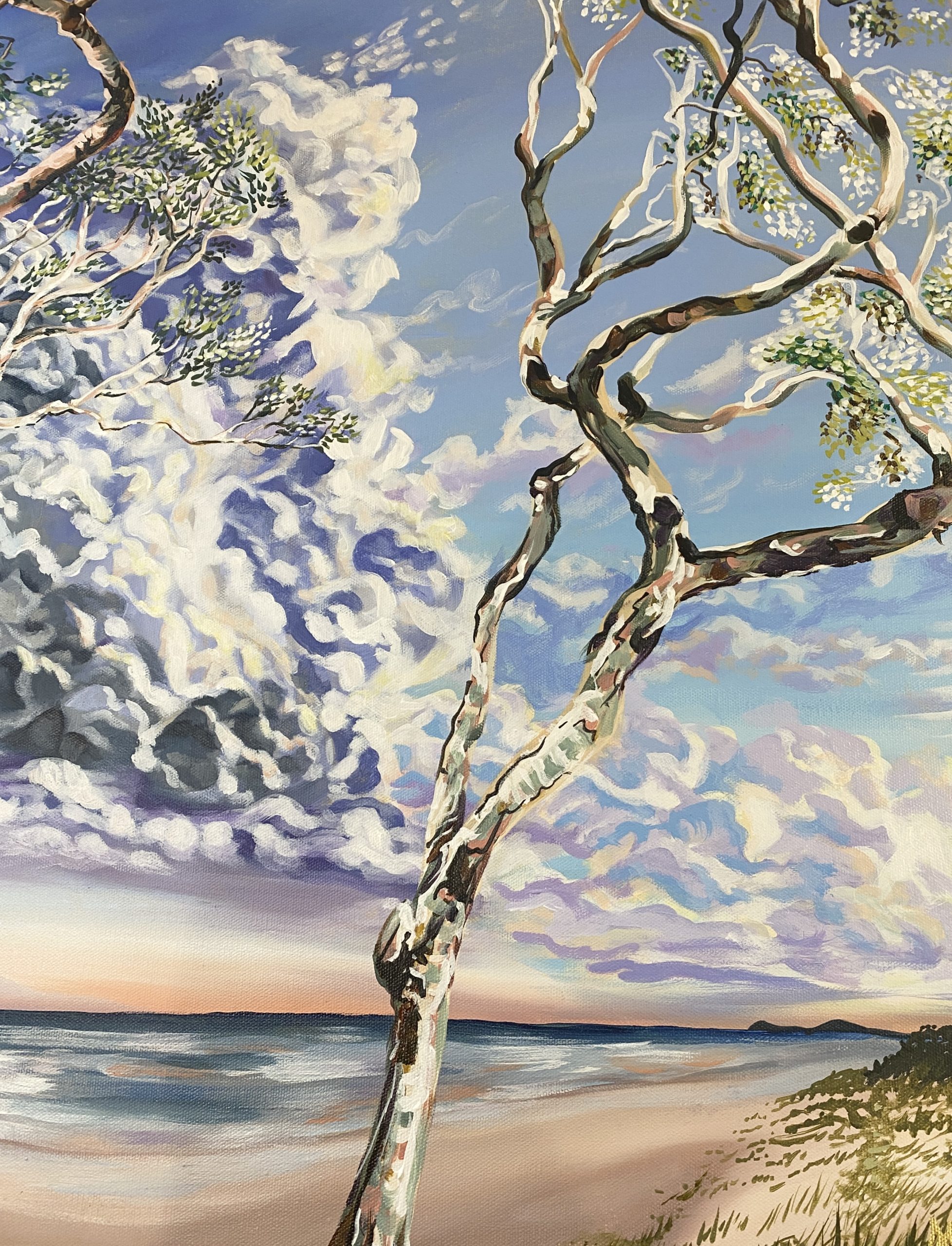 Casuarina Beach Study.9