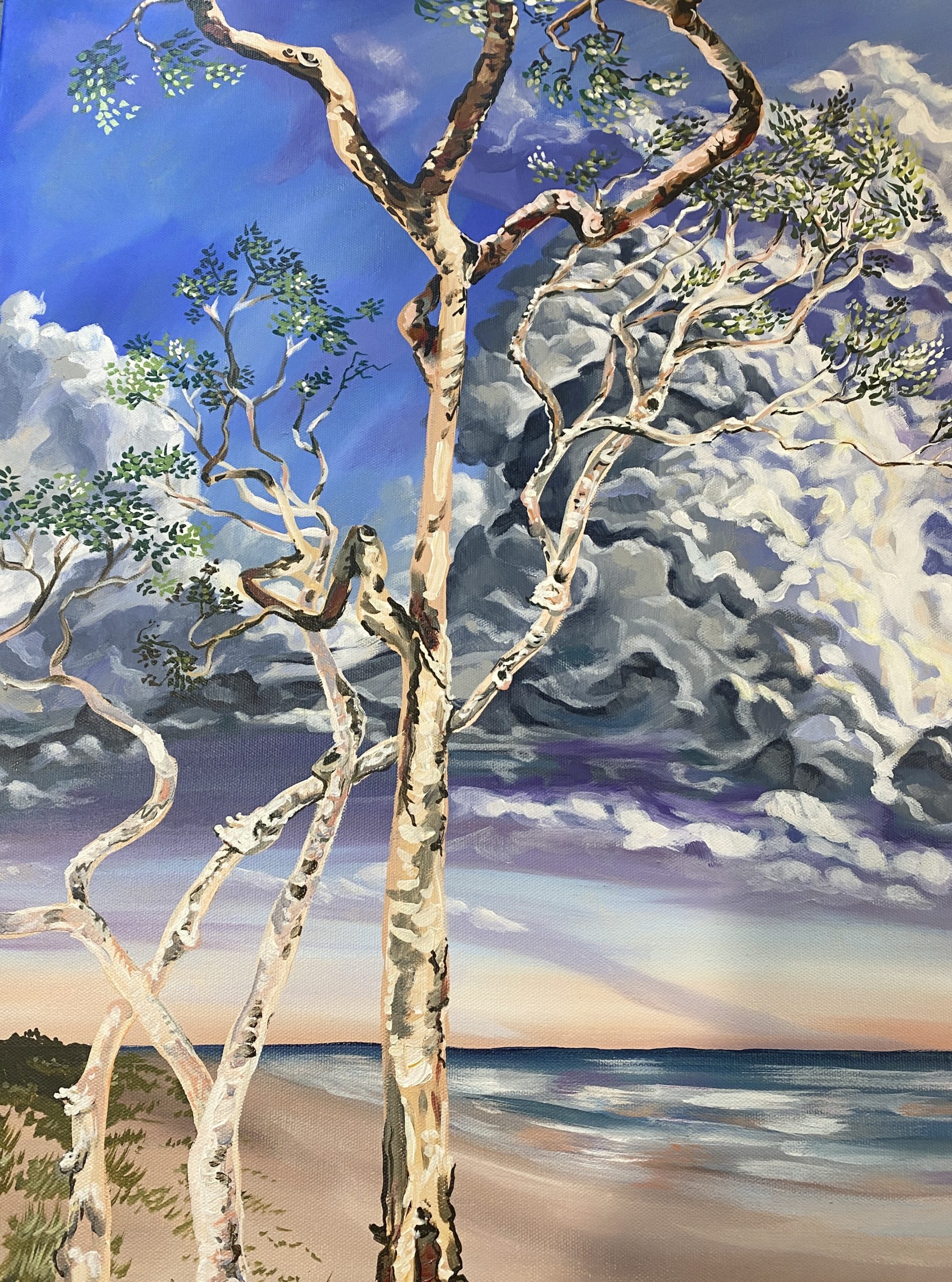 Casuarina Beach Study.11