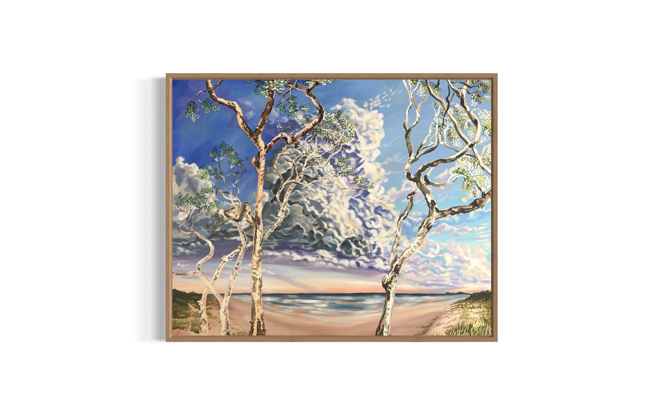 Casuarina Beach Study