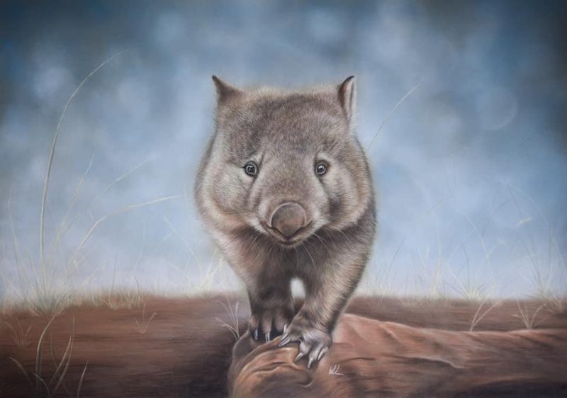 Wally Wombat