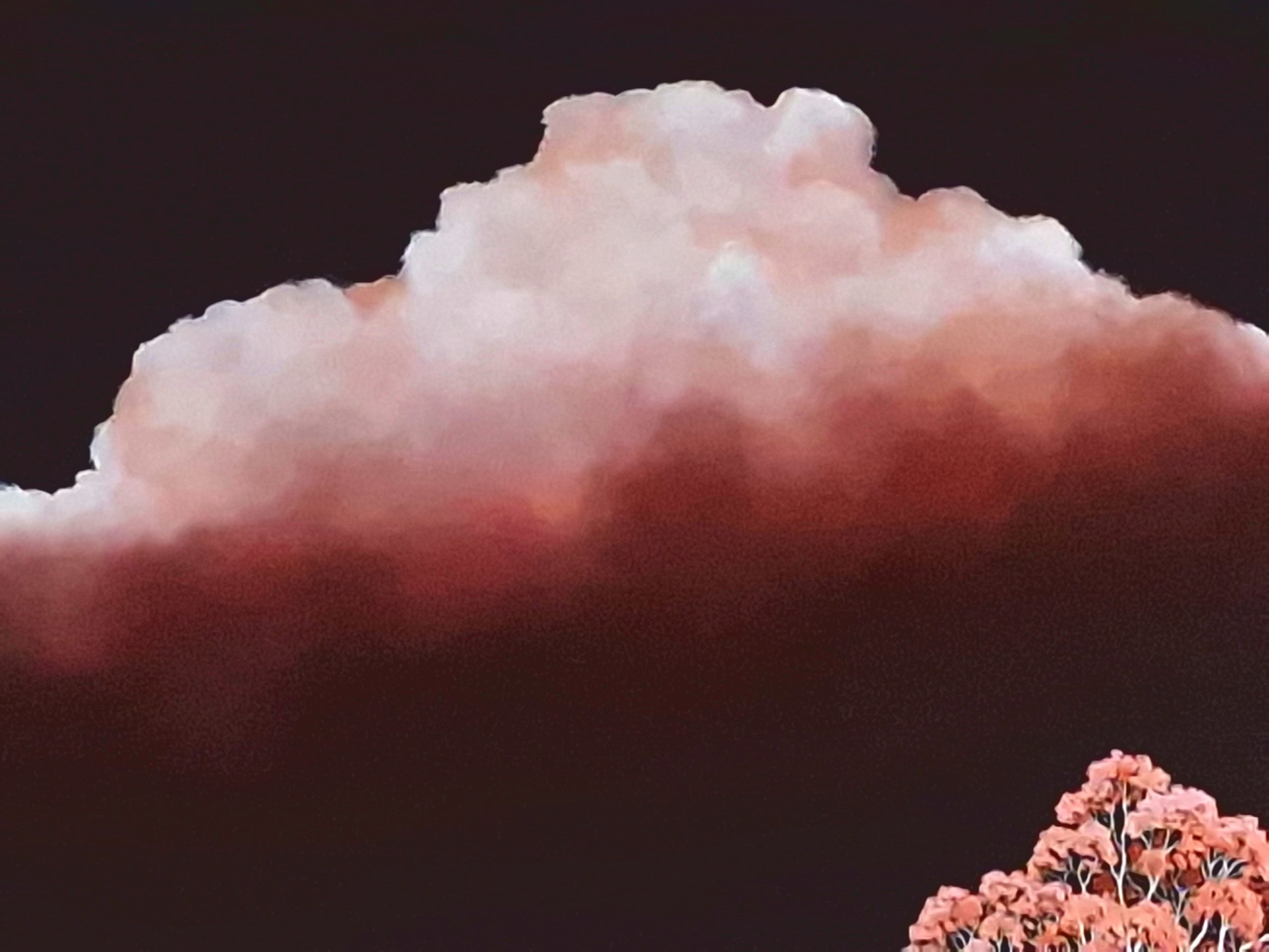 Crimson Tempest Lucinda Leveille 2