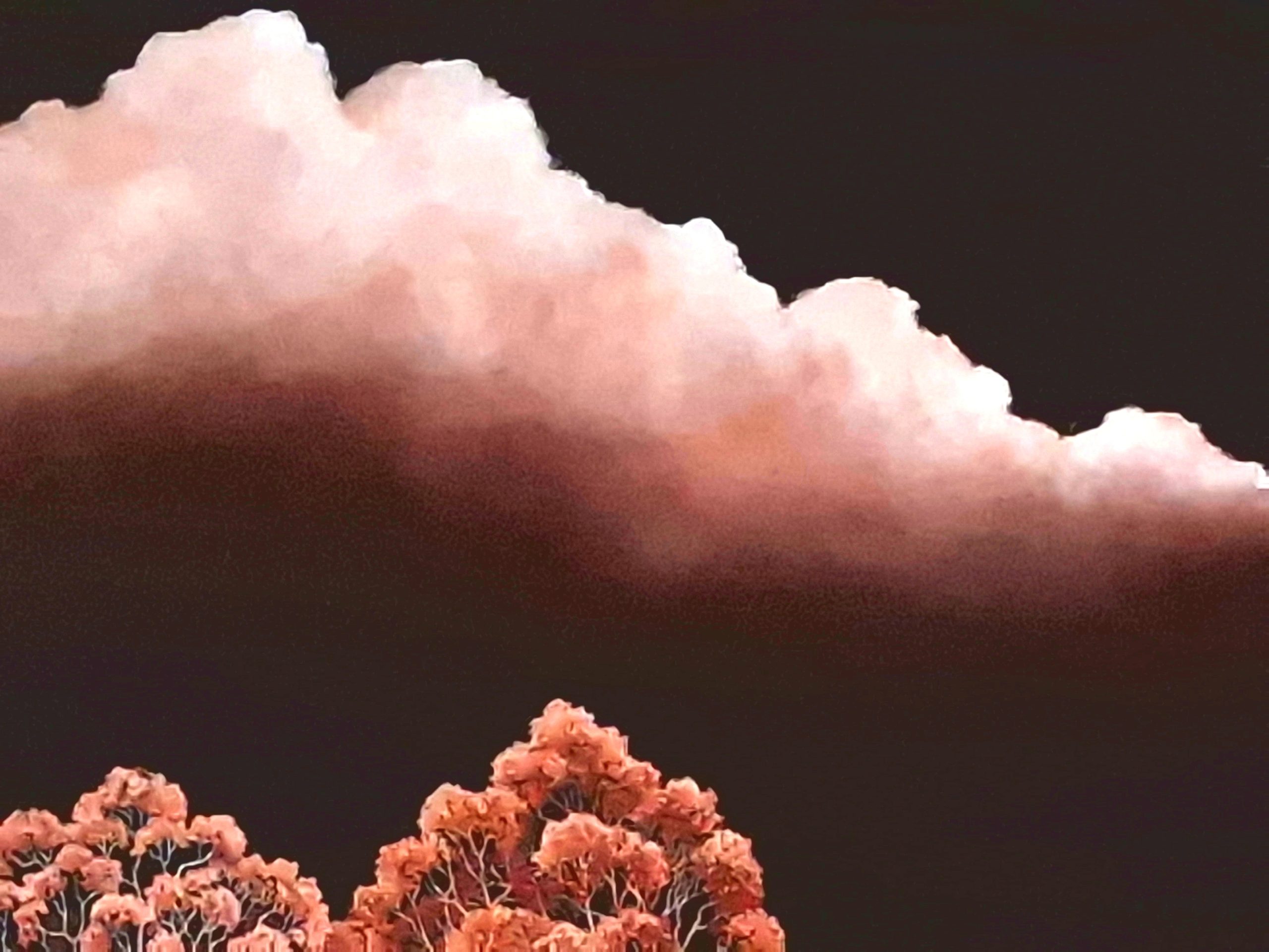 Fierce Earth Lucinda Leveille 1