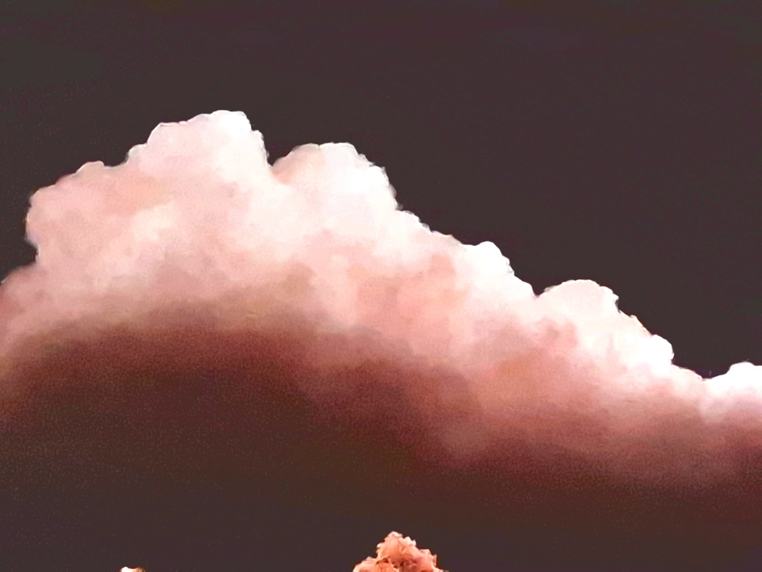 Fierce Earth Lucinda Leveille 2