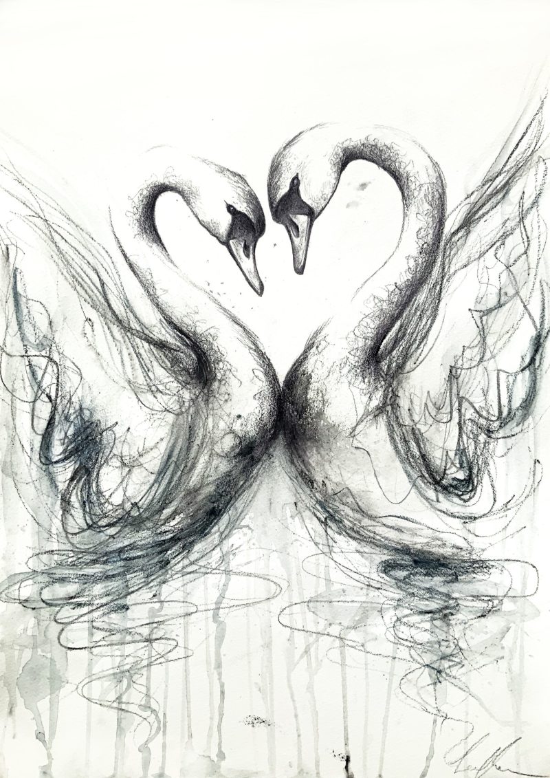 Swan Love