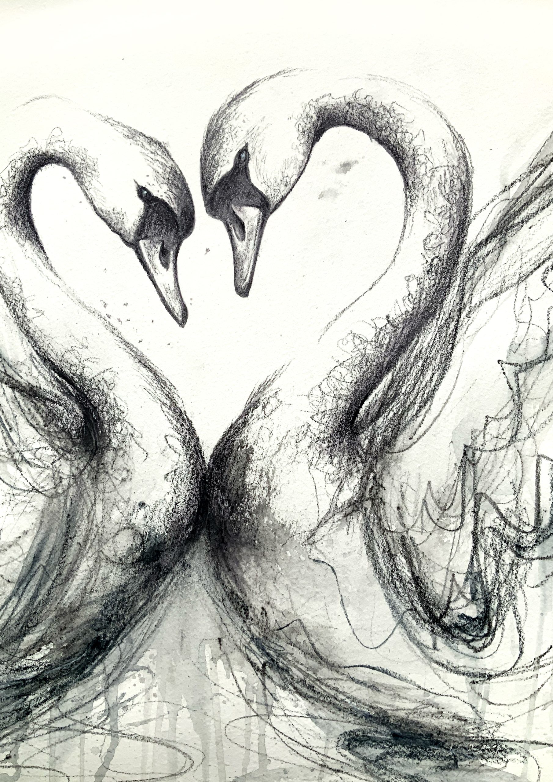 Sydney Artist Leni Kae Swan Love Watercolour Drawing Closeup