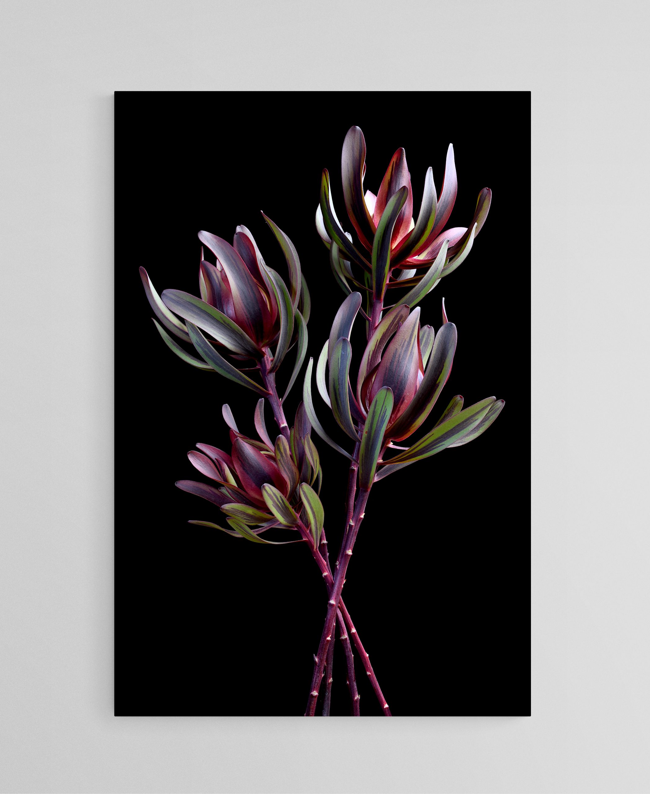 Empty Room 2025 05 28t130057.782