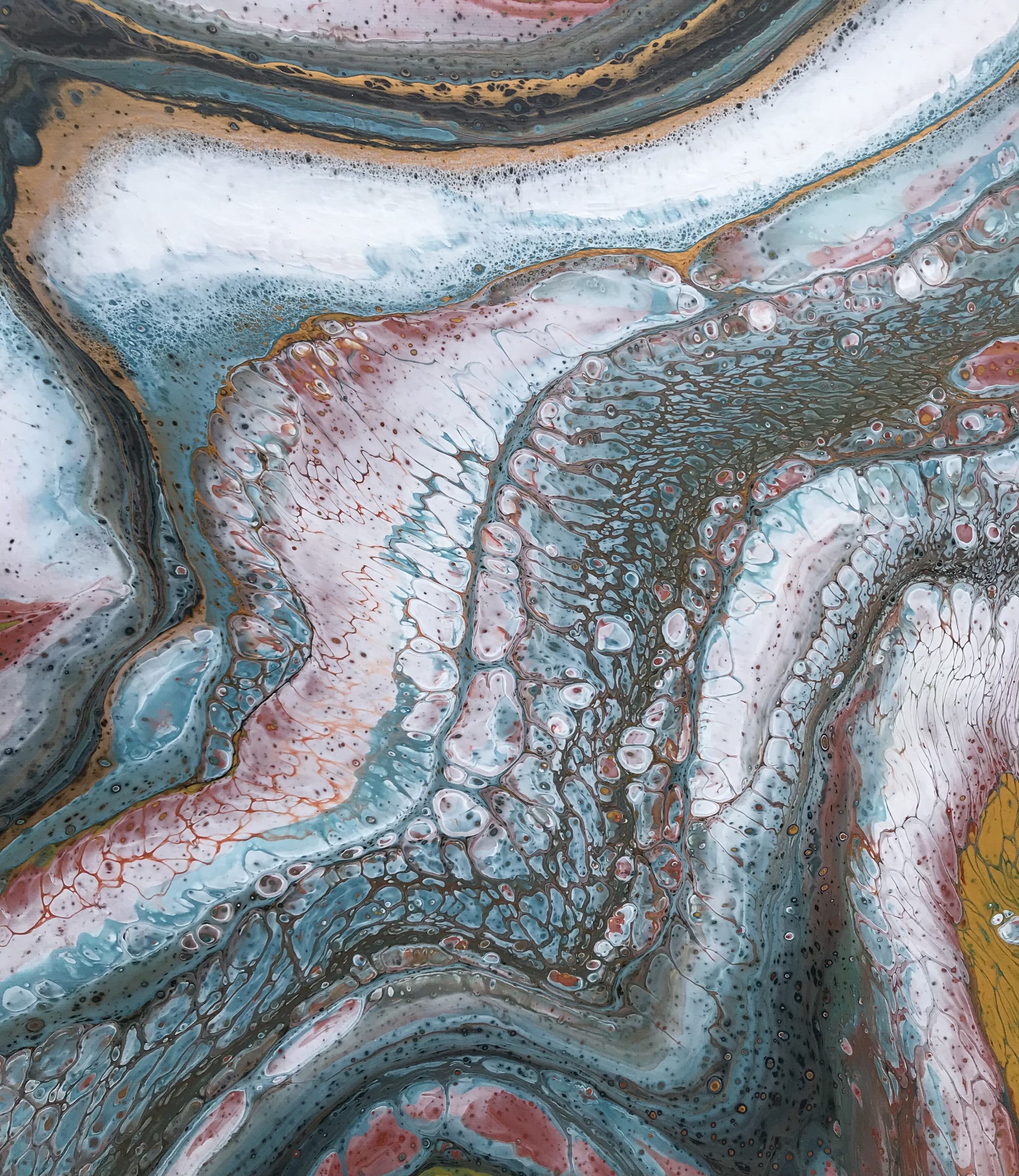 8d10c677 55de 41f2 9c8c Cec8ebffde0a