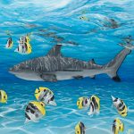 User 32798 Emma Waters 2025 05 31 T 03 25 53 049 Z Img 3441.jpeg