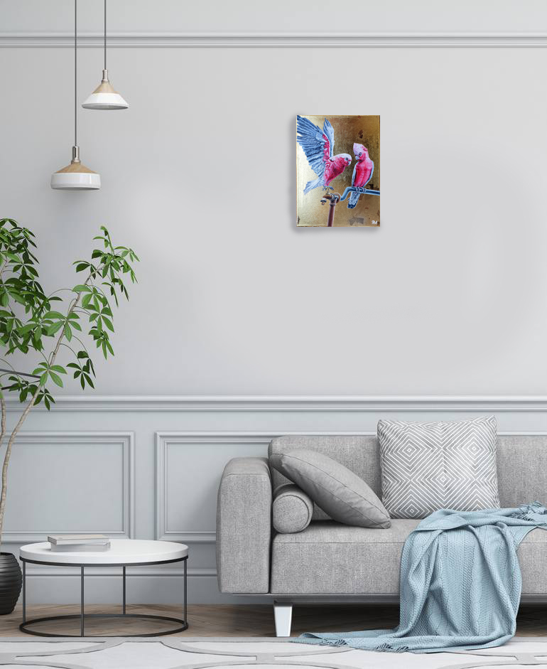 Galah Parrots Insitu2