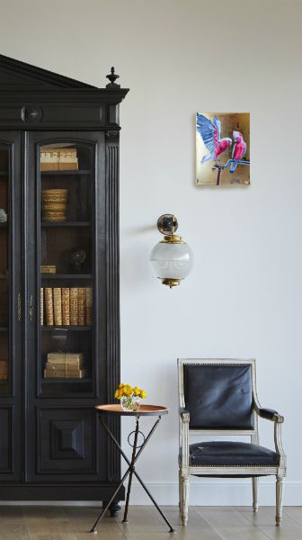 Galah Parrots Insitu Copy