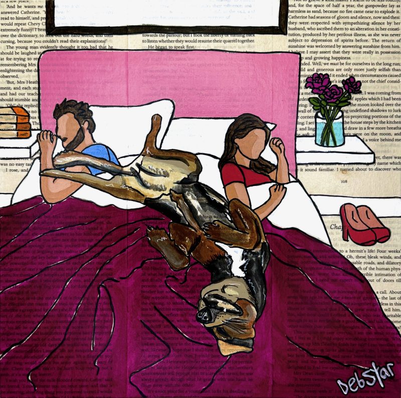 Dog Days – Bedtime 2