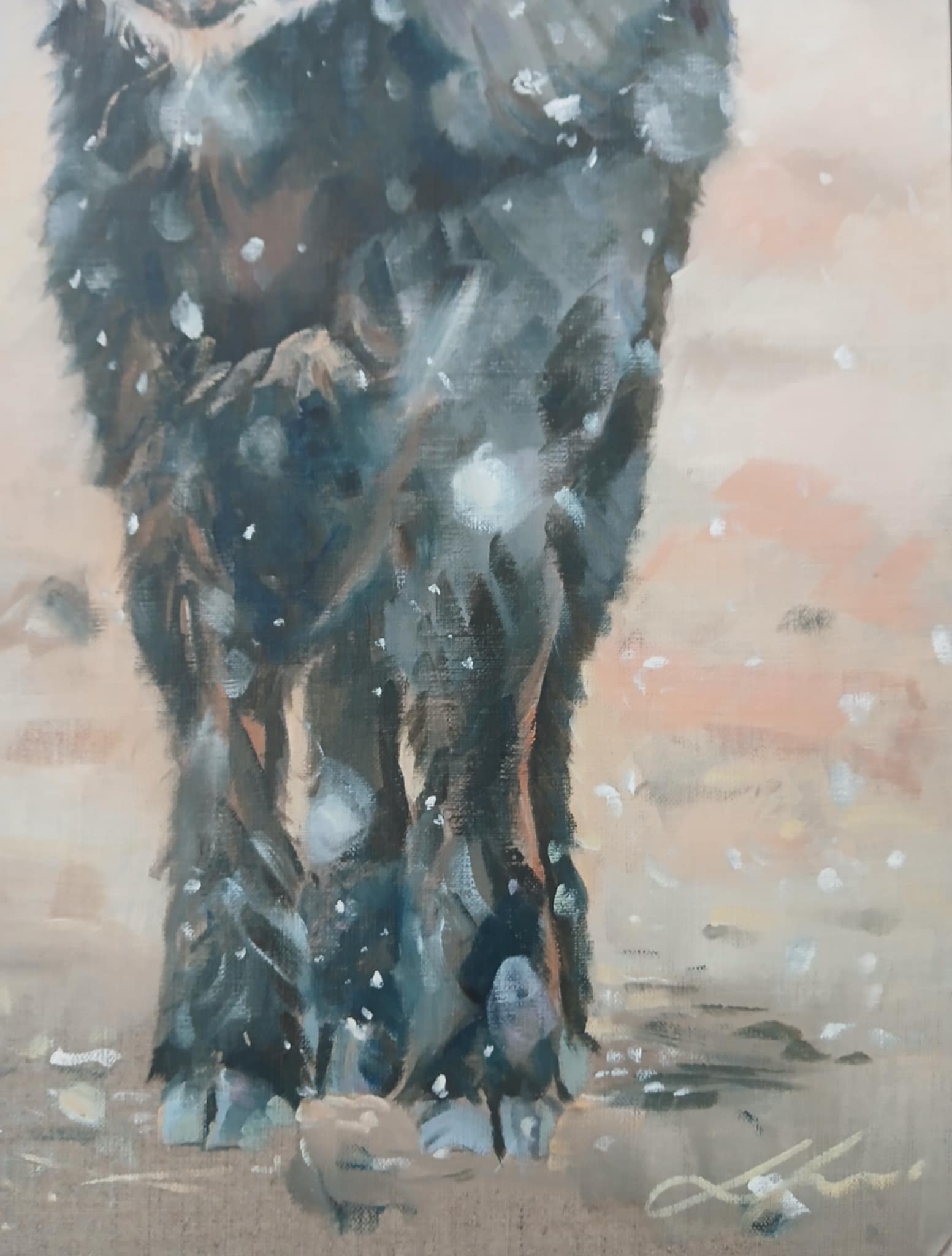 Calf In The Snow Jo S Stacey Fine Art Oils Signature