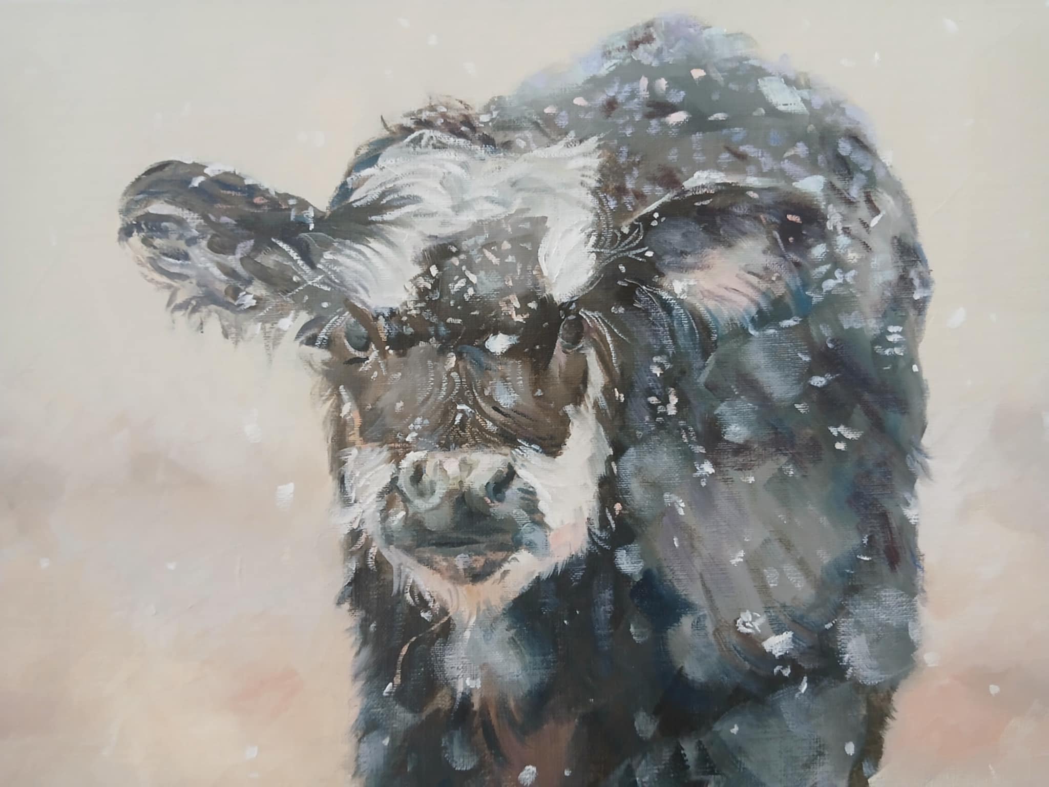 Calf In The Snow Jo S Stacey Fine Art Oils Up Close 2