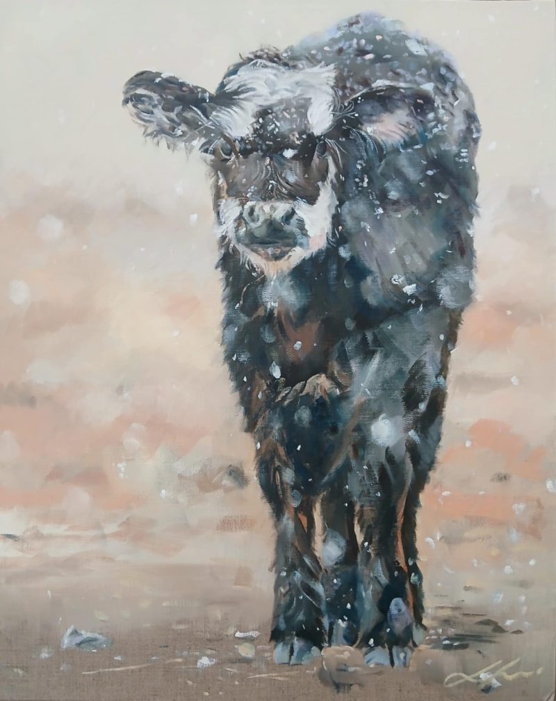 Calf In The Snow