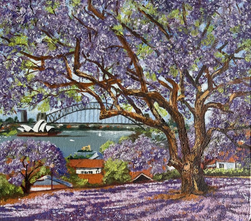 Harbour wrapped in Jacaranda