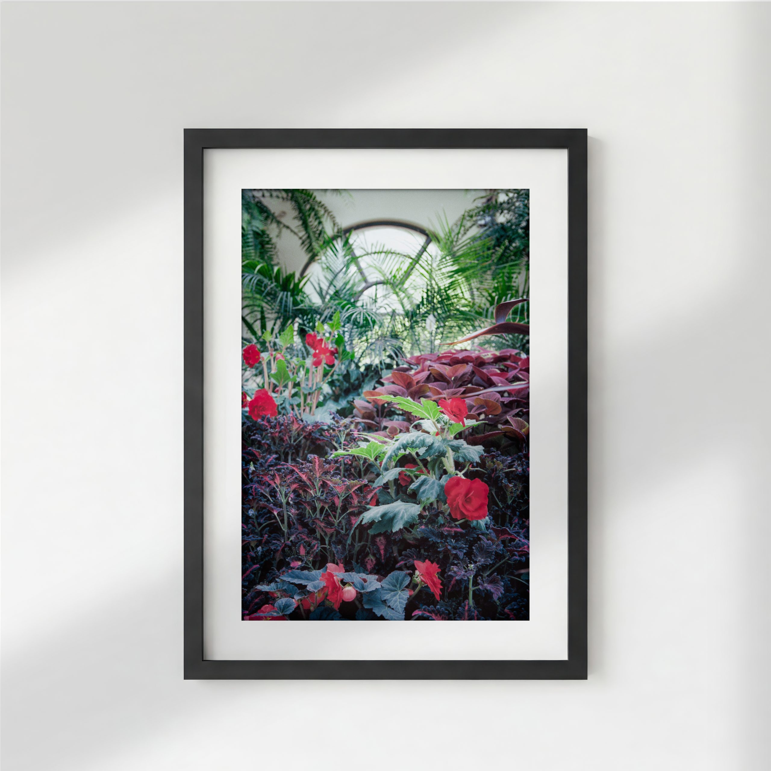 The Conservatory 1 Black Frame With Shadow