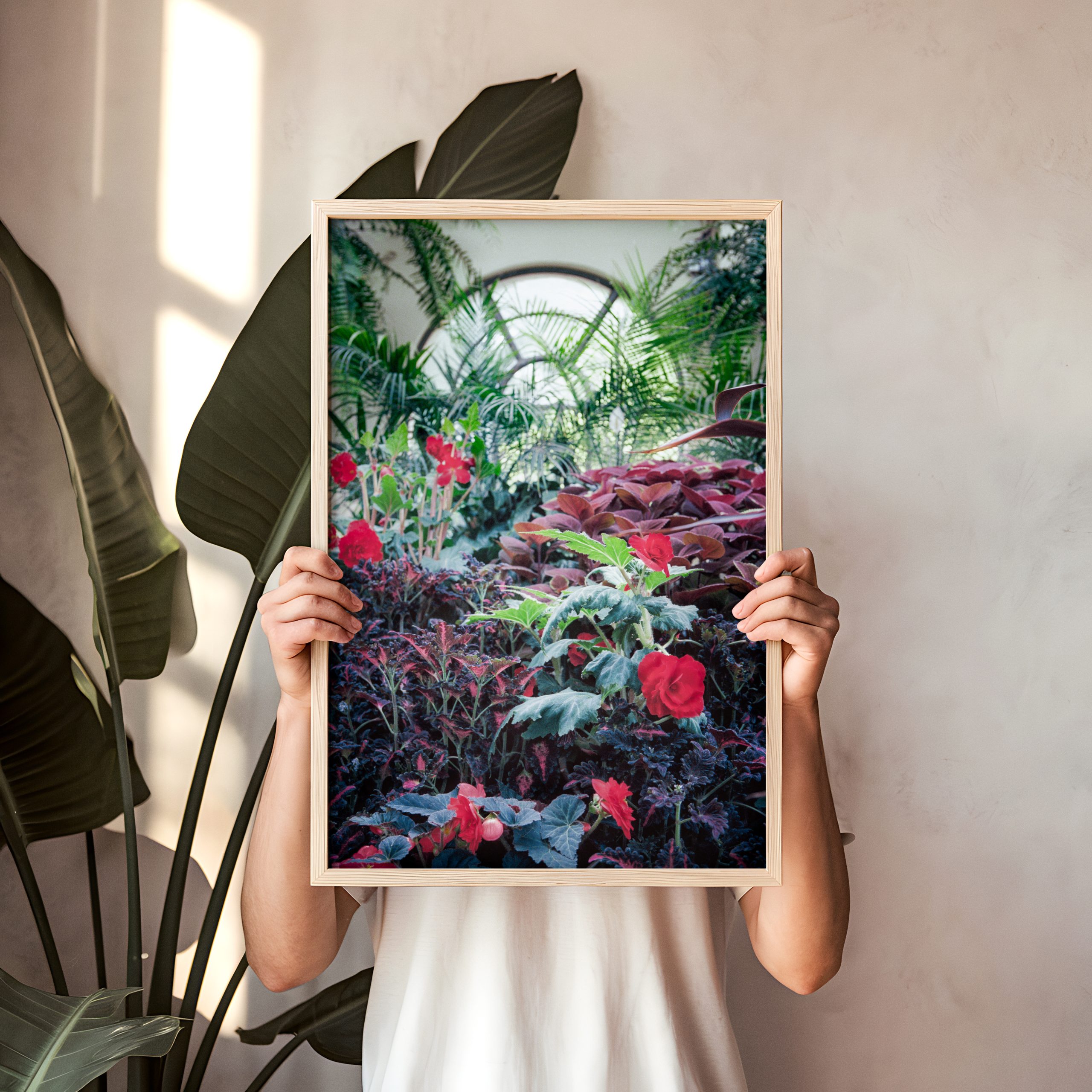 The Conservatory 1 Person Holding Frame