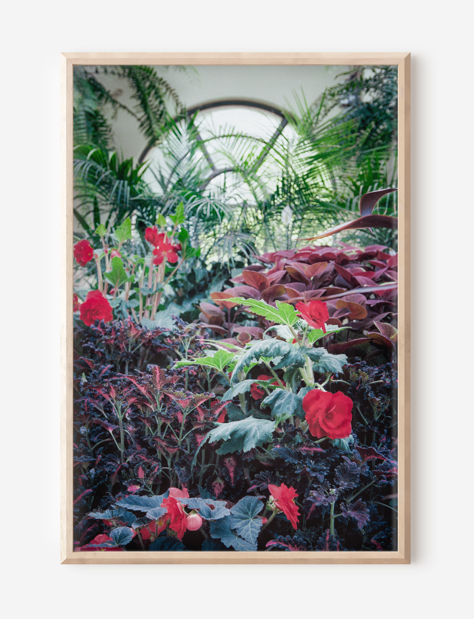 The Conservatory 1 Pine Frame