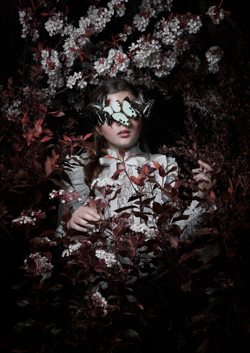 The Biophile No 4 Ltd Ed