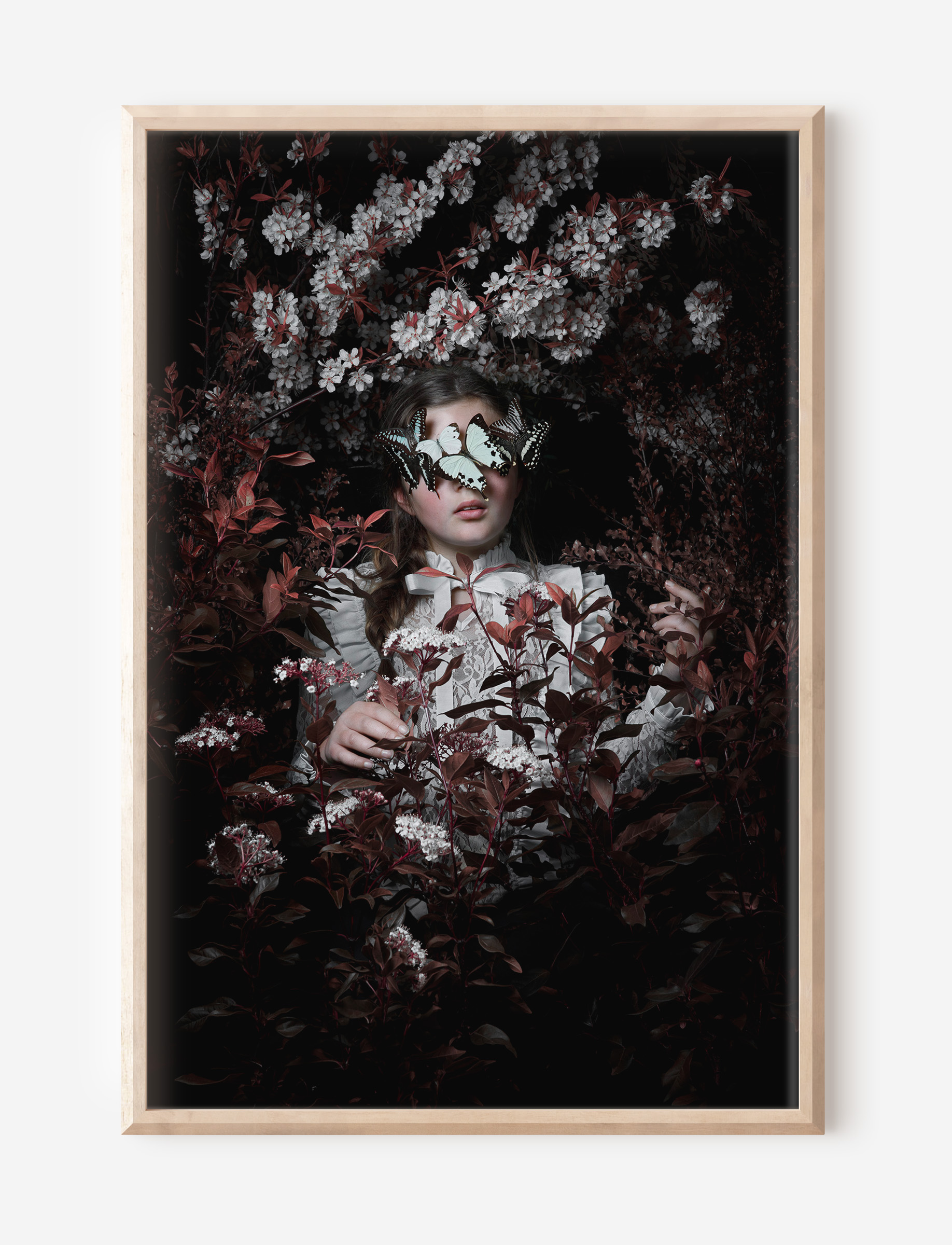 The Biophile 4 Single Frame