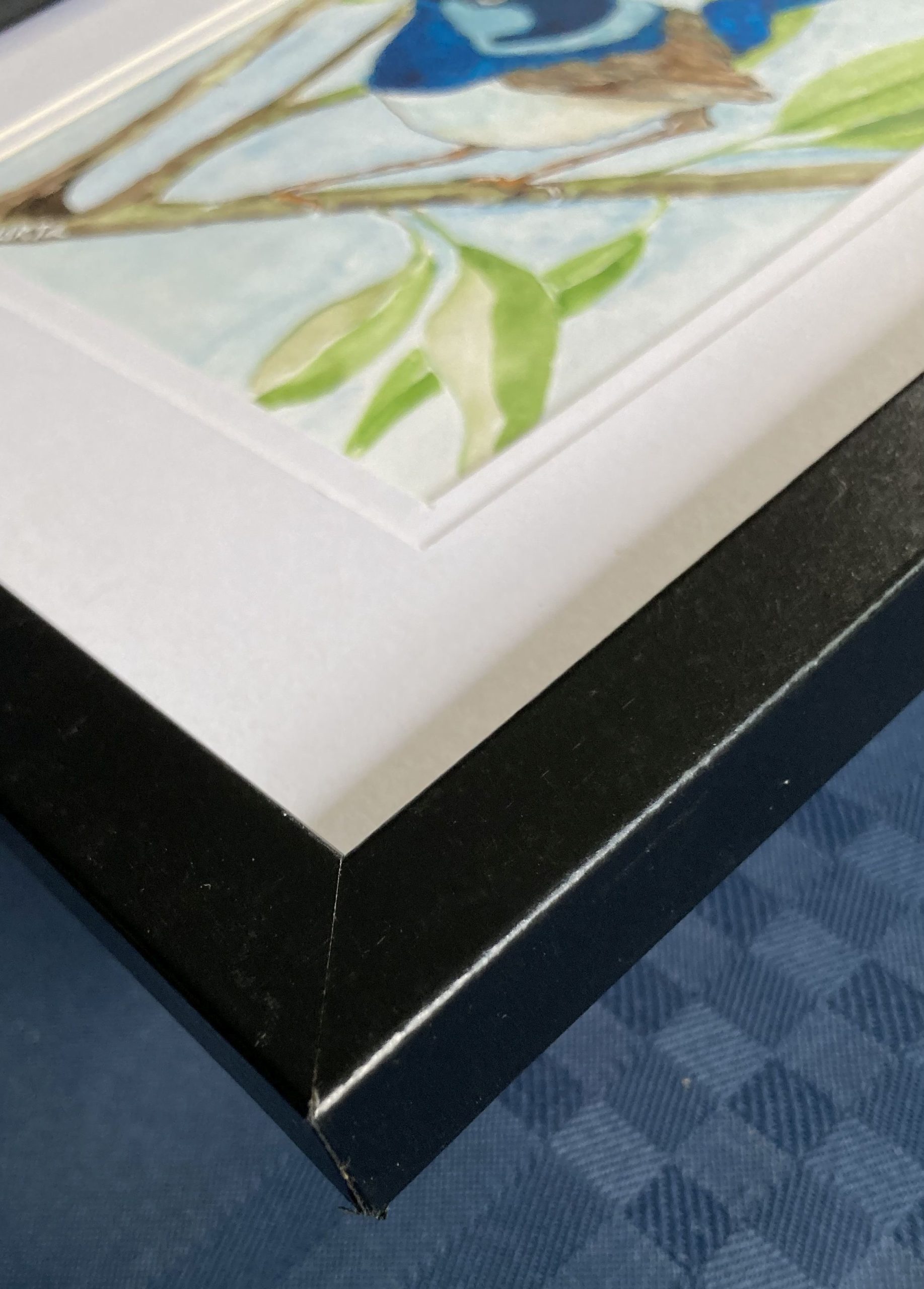 Mbj 469 Little Fellow Edge