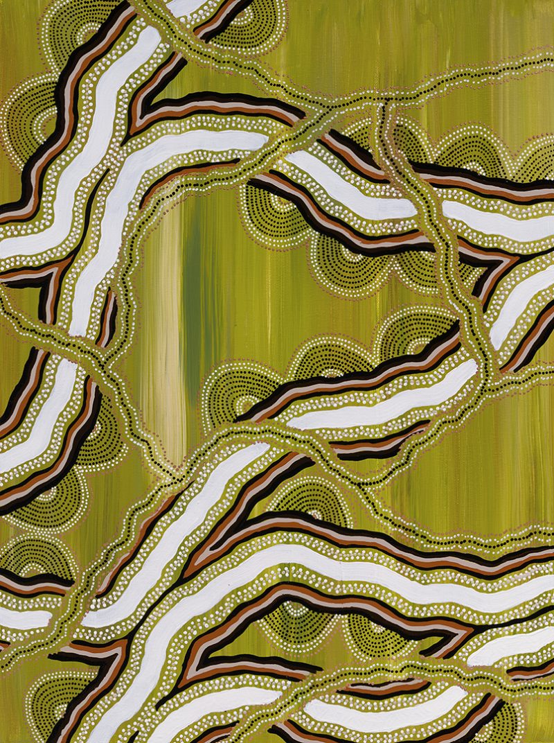 Two Rivers of Barmah Forest