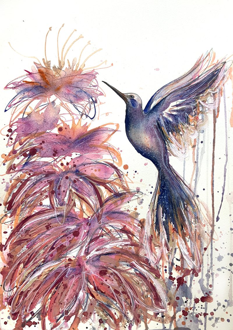 Hummingbird Spirit