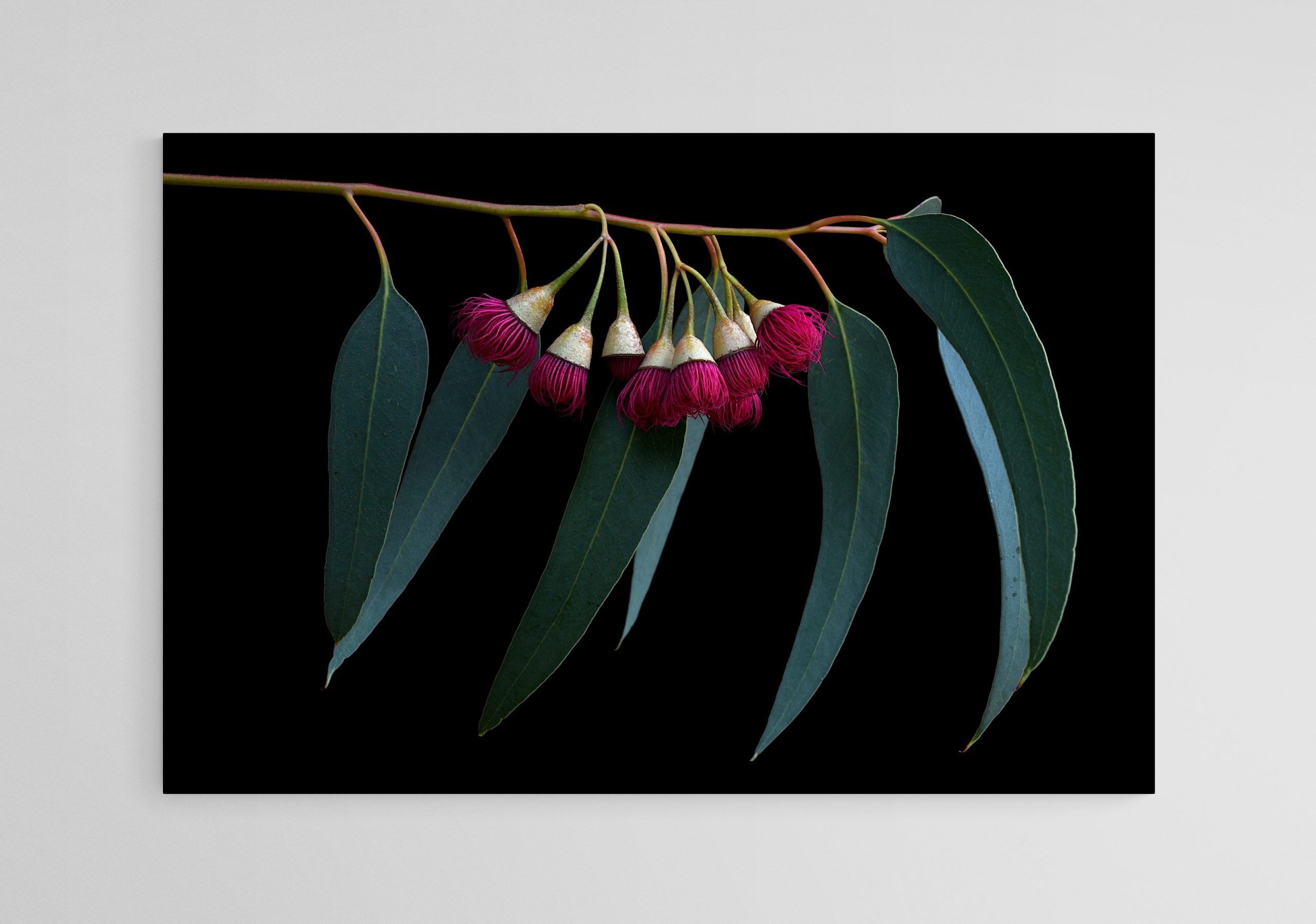 Empty Room 2025 05 23t153943.567