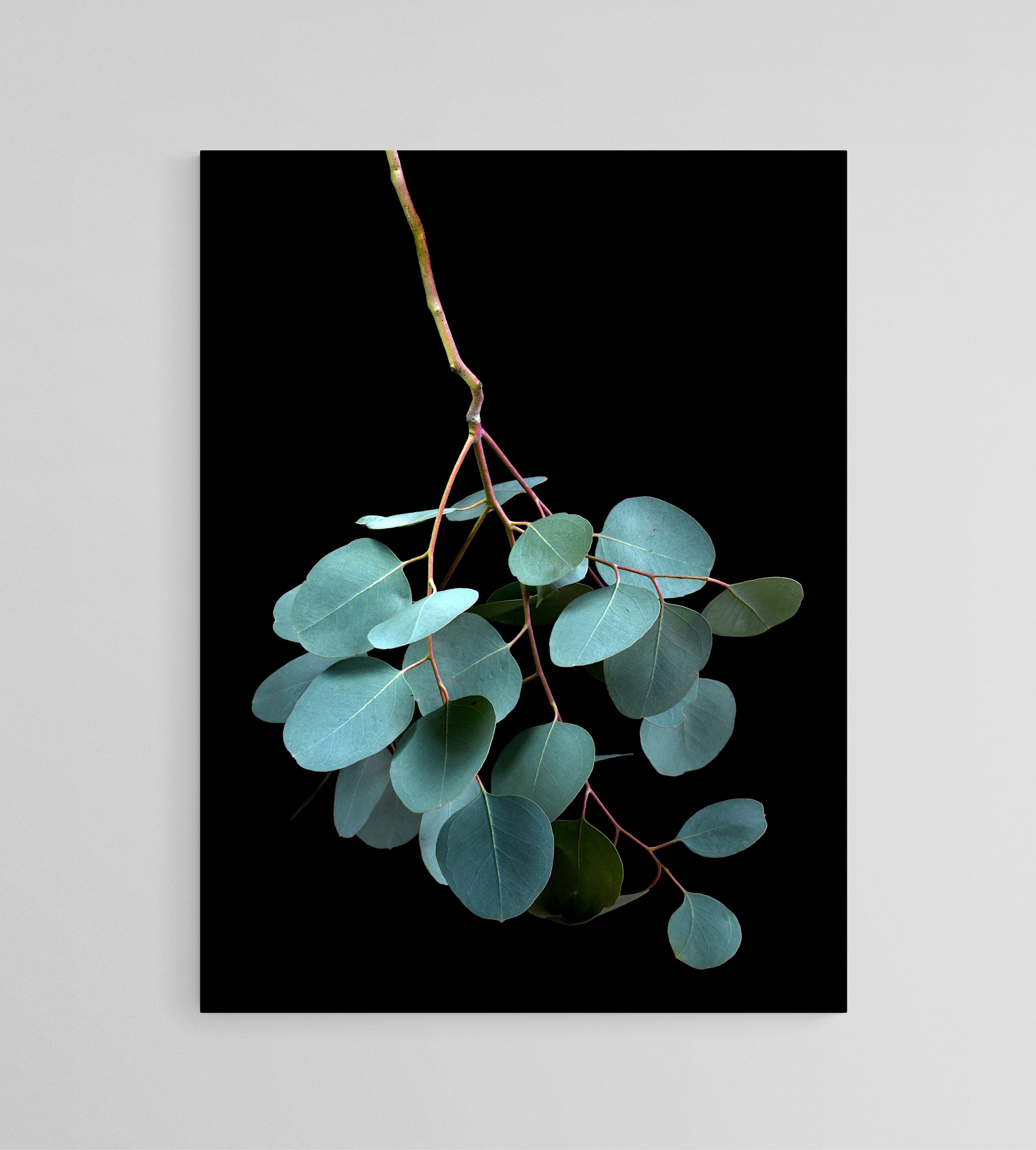 Empty Room 2025 06 05t175028.683